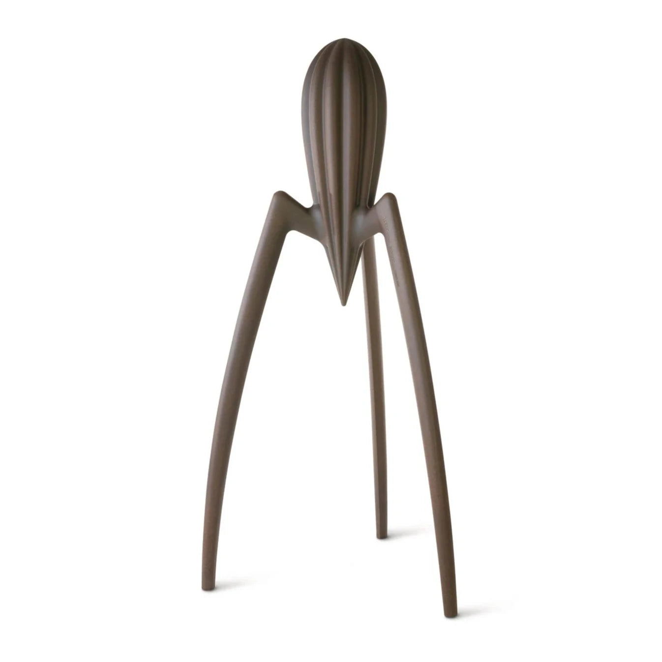 Dekorácia JUICY SALIF XXL hnedá