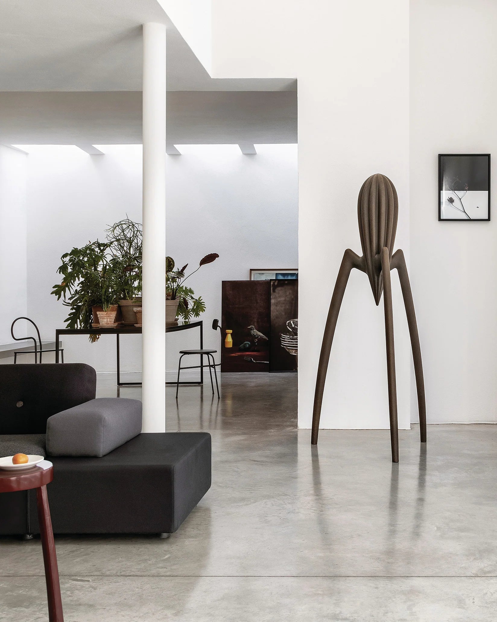 Dekorácia JUICY SALIF XXL hnedá