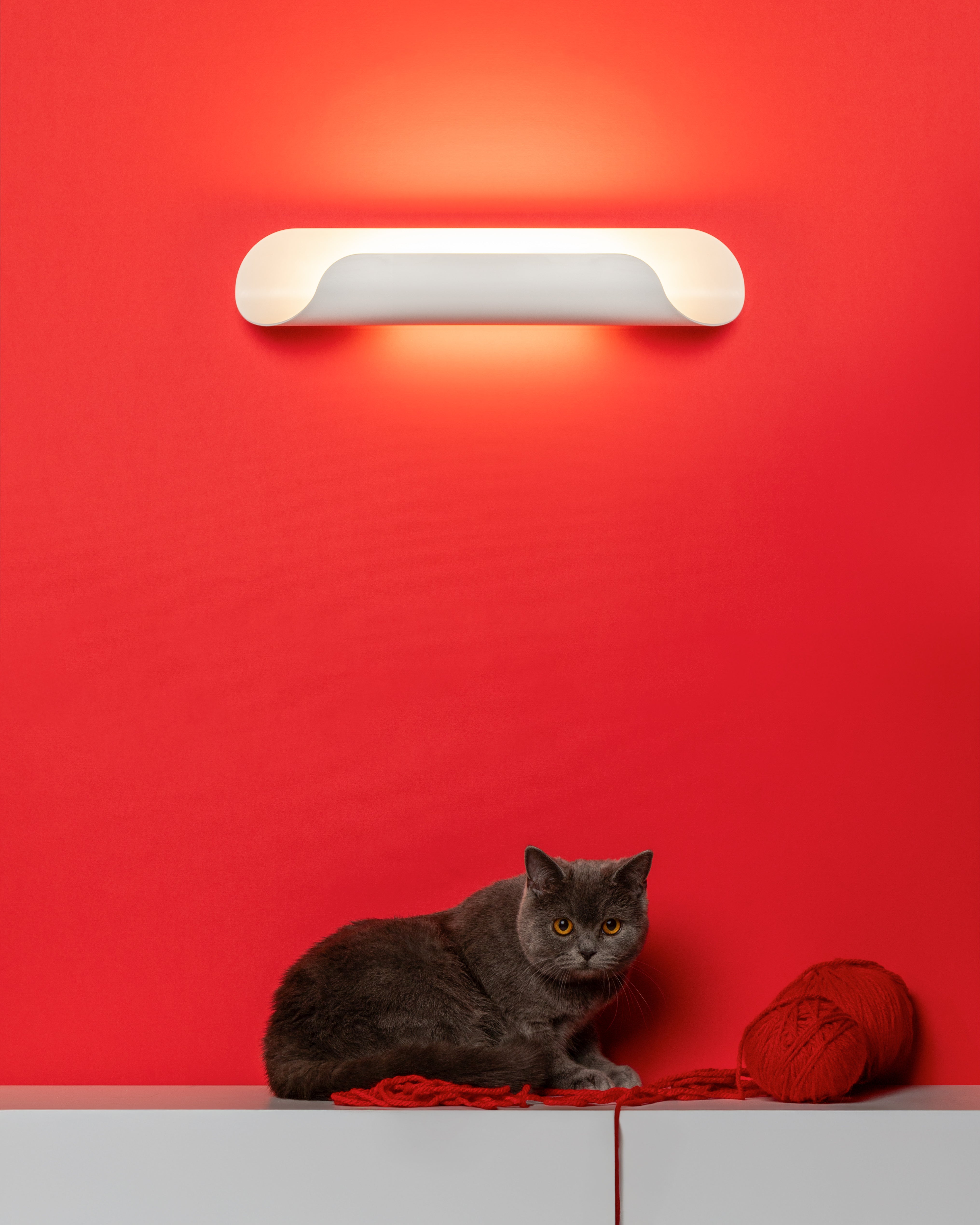 Lampa ścienna ROLL biały
