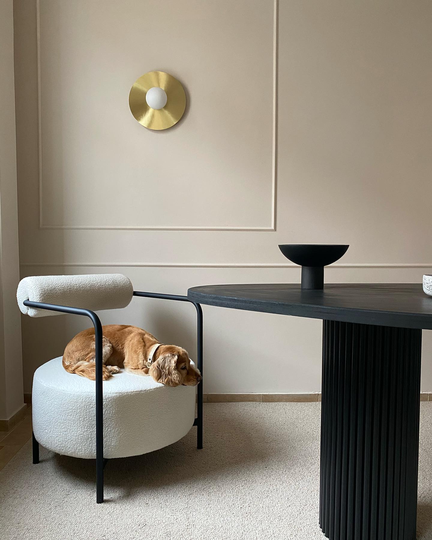 Fotel SAFFRON čalúnený