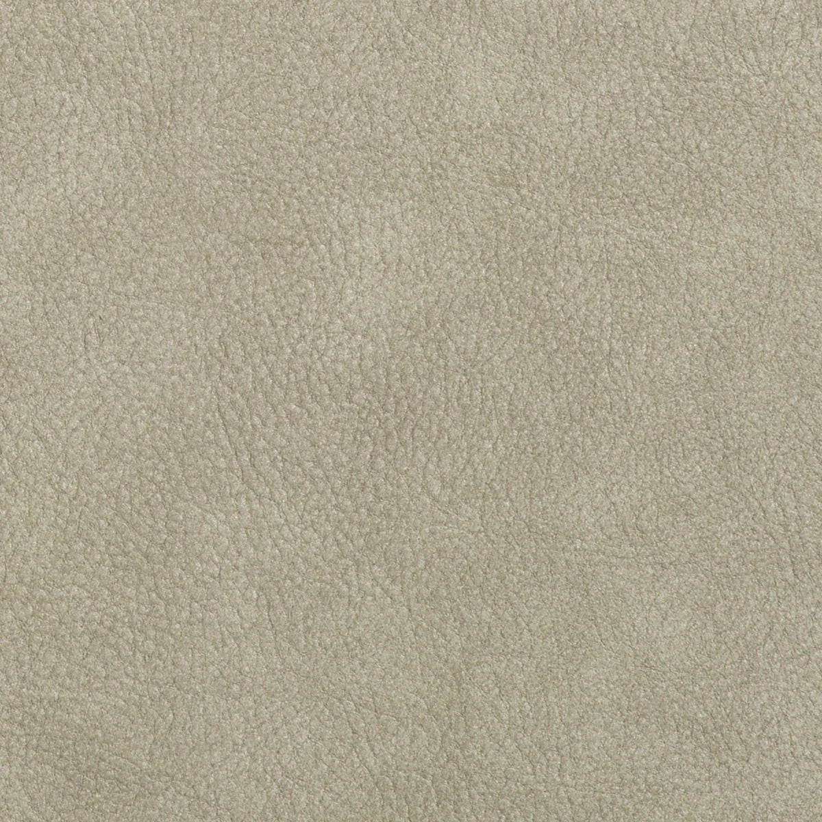 Set of velvet hokers cliff light gray