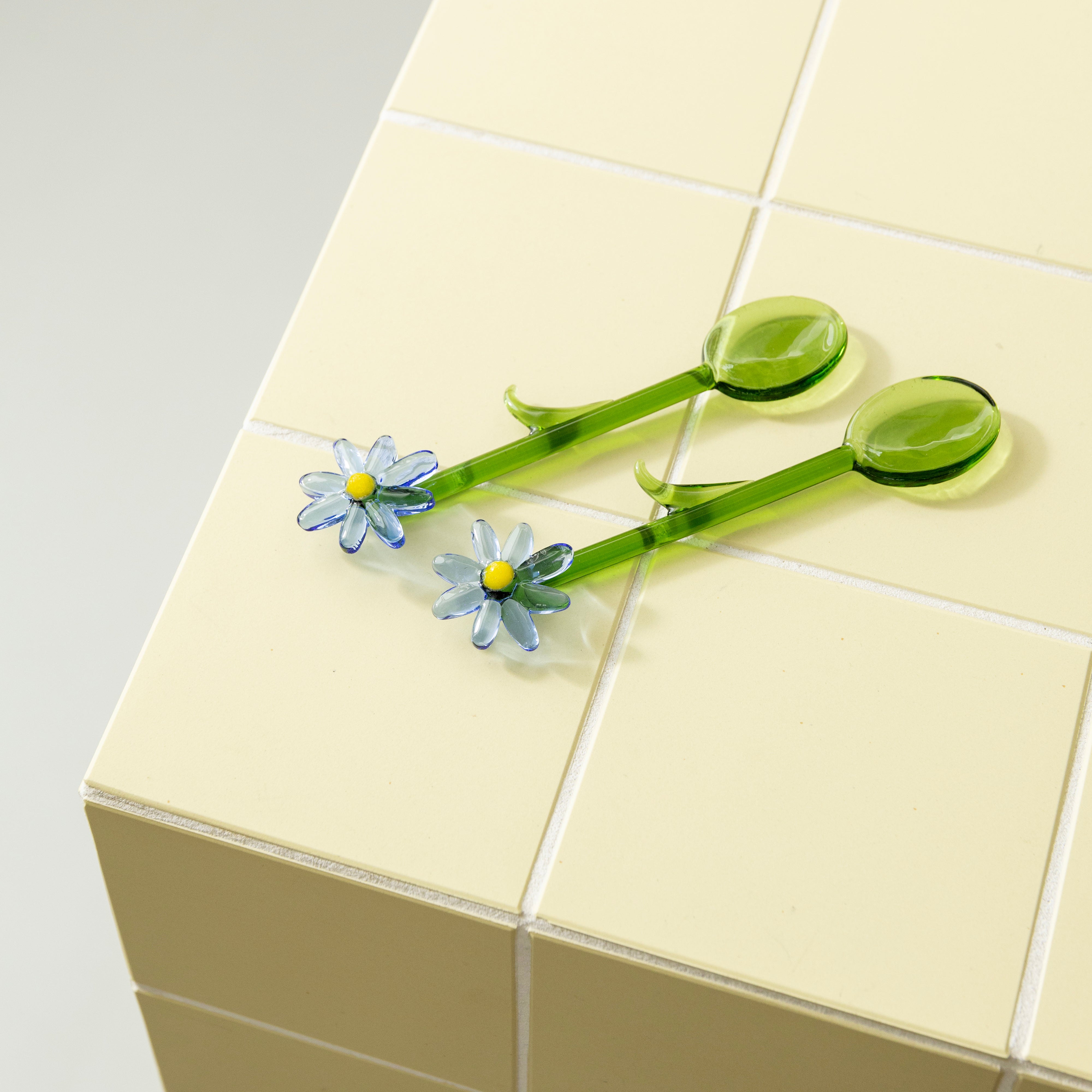 Súprava lyžičiek FLORA zelená s modrou