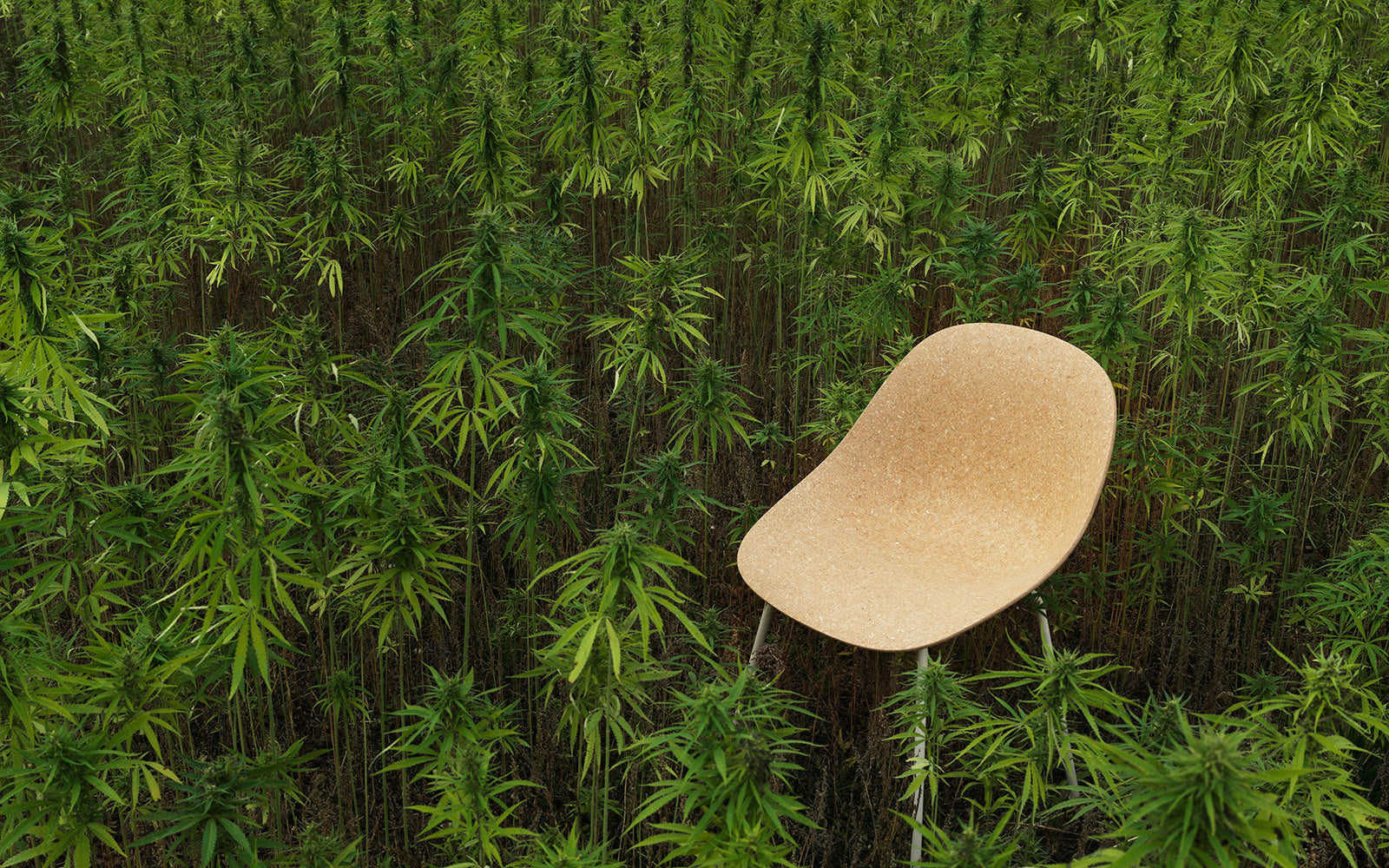 Stolička MAT béžová s bukovou základňou