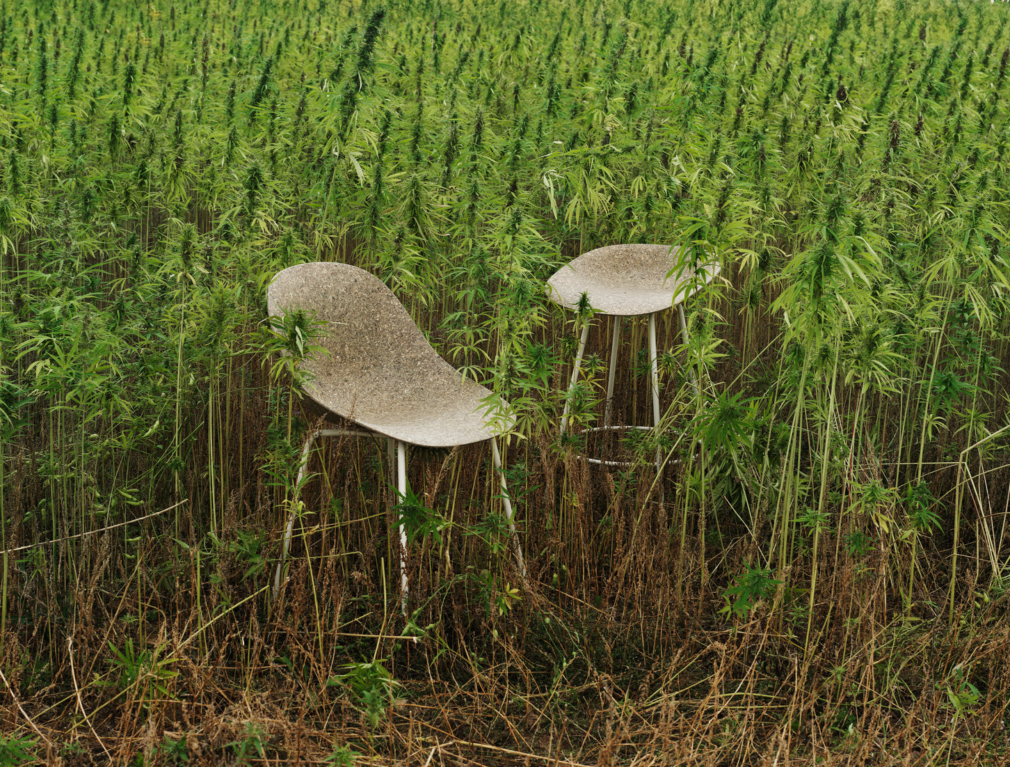 Mat Green Chair with a cream base