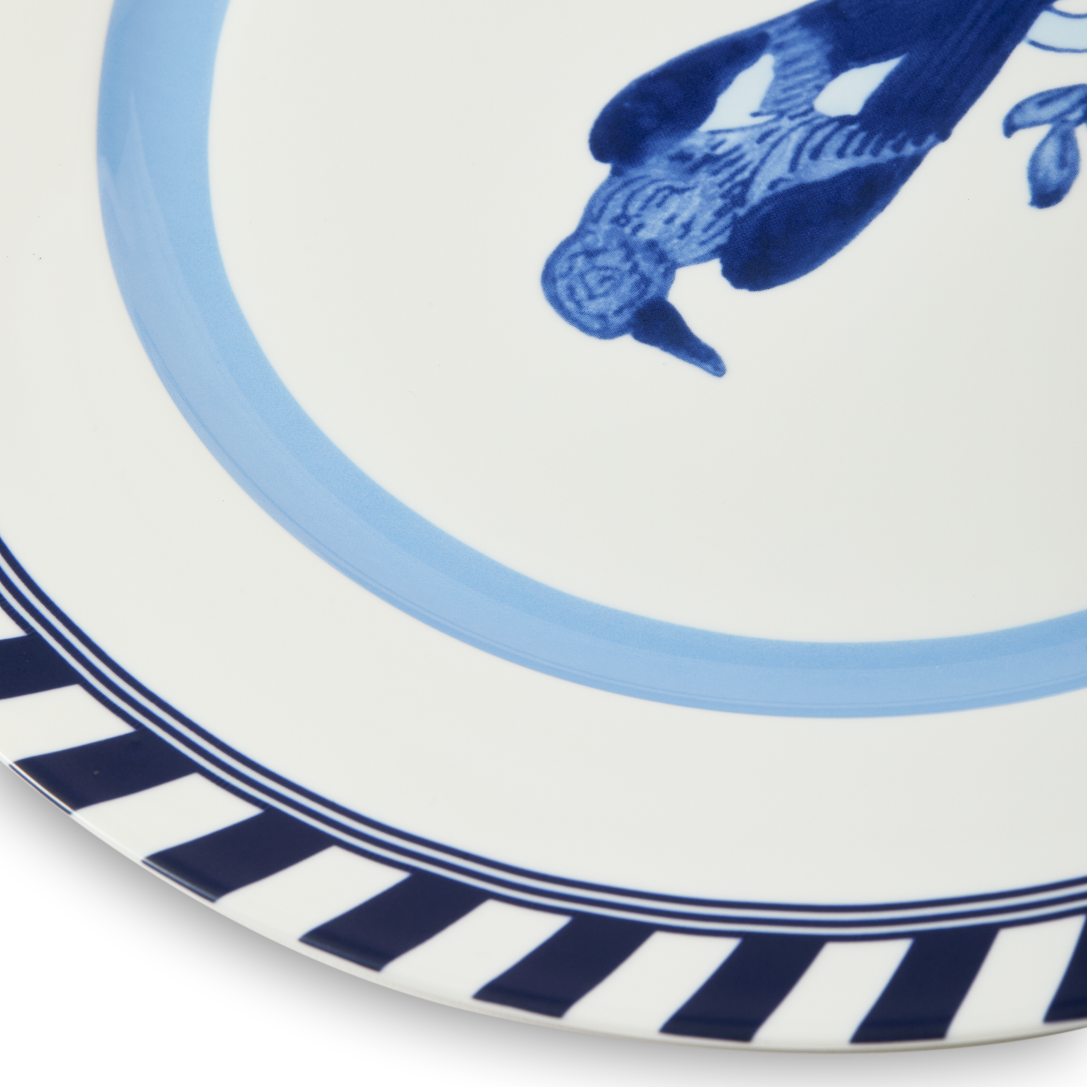 Bird Patterned Plate Set White with Blue