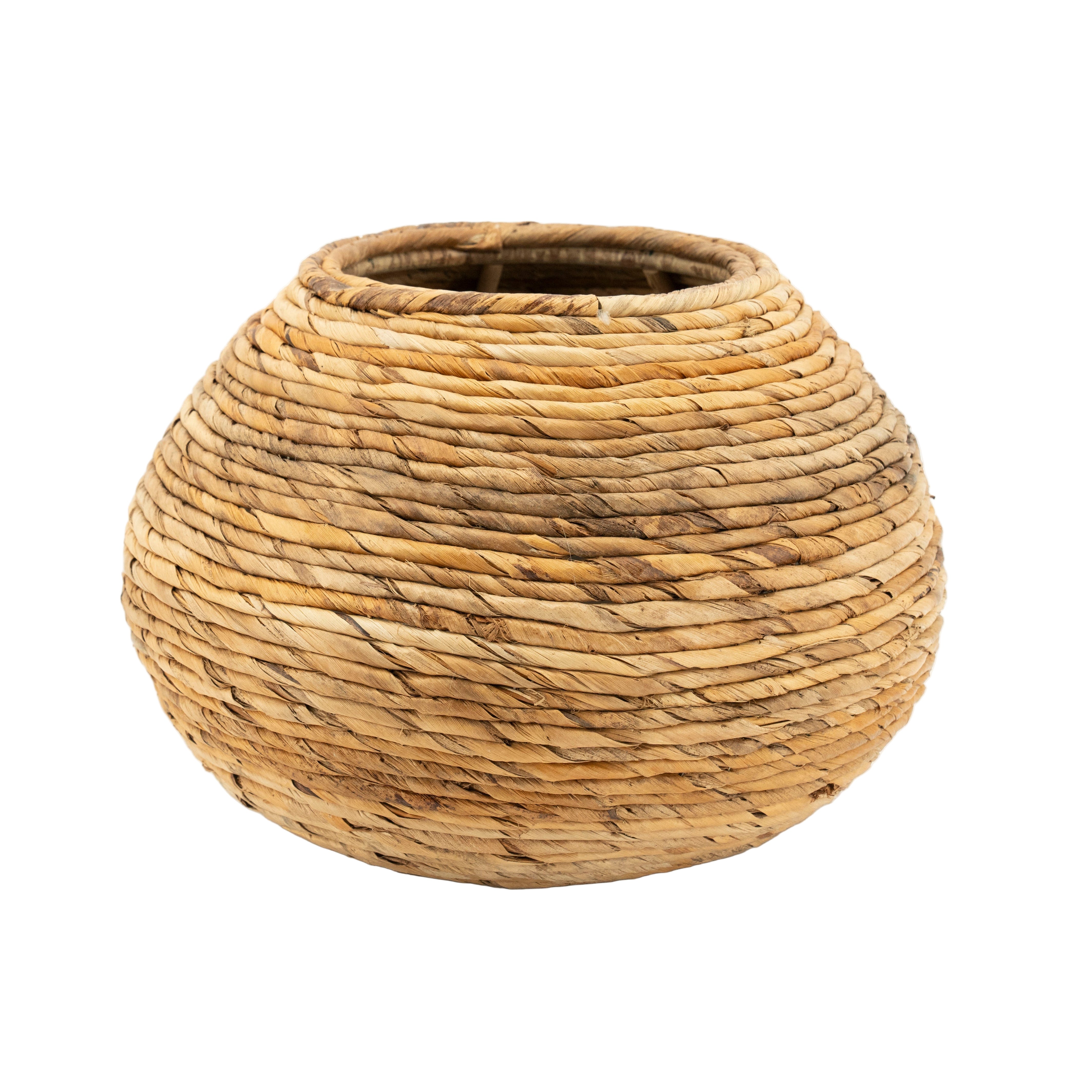 BENTI Banana Plant Pot