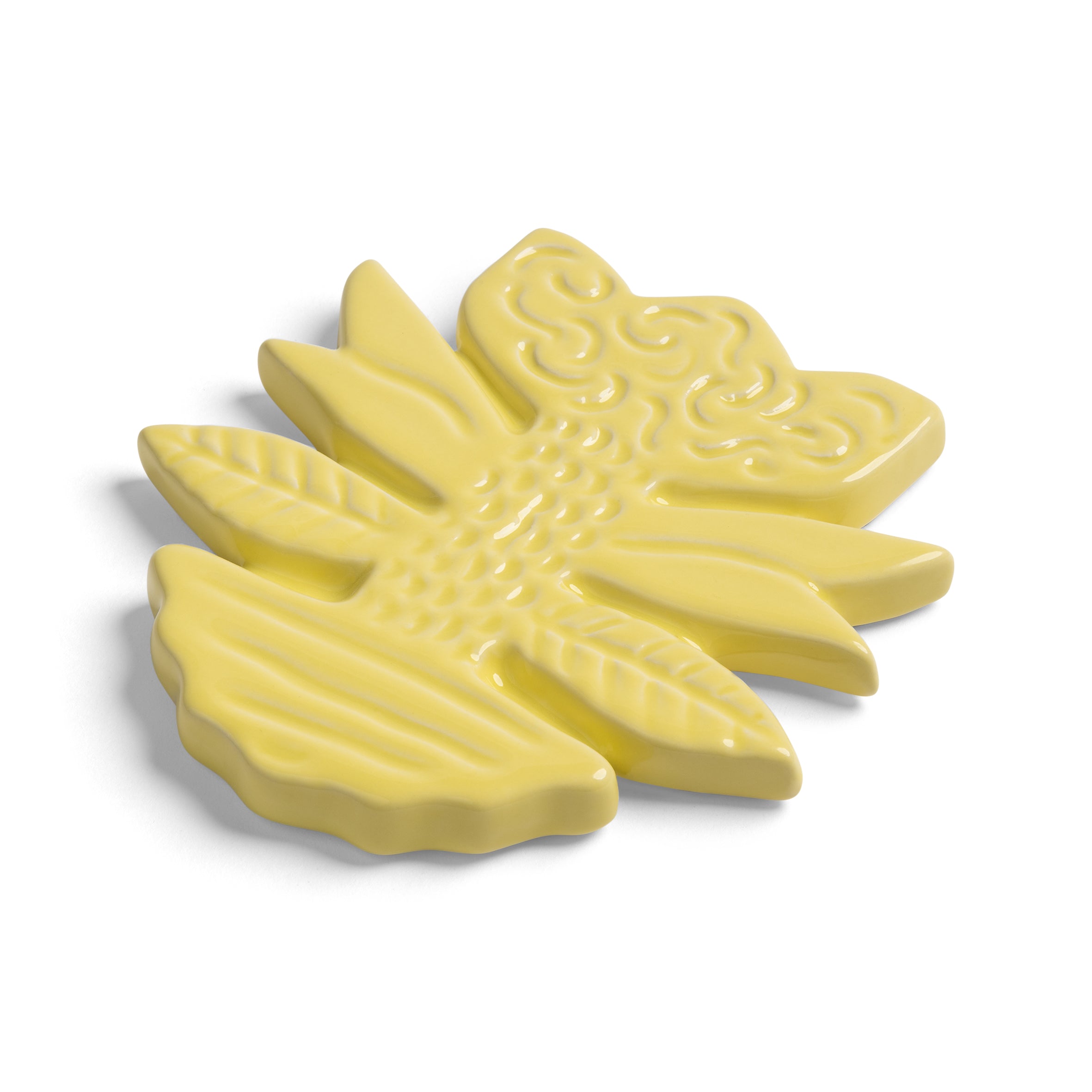 Súprava podložiek BLUME farebná