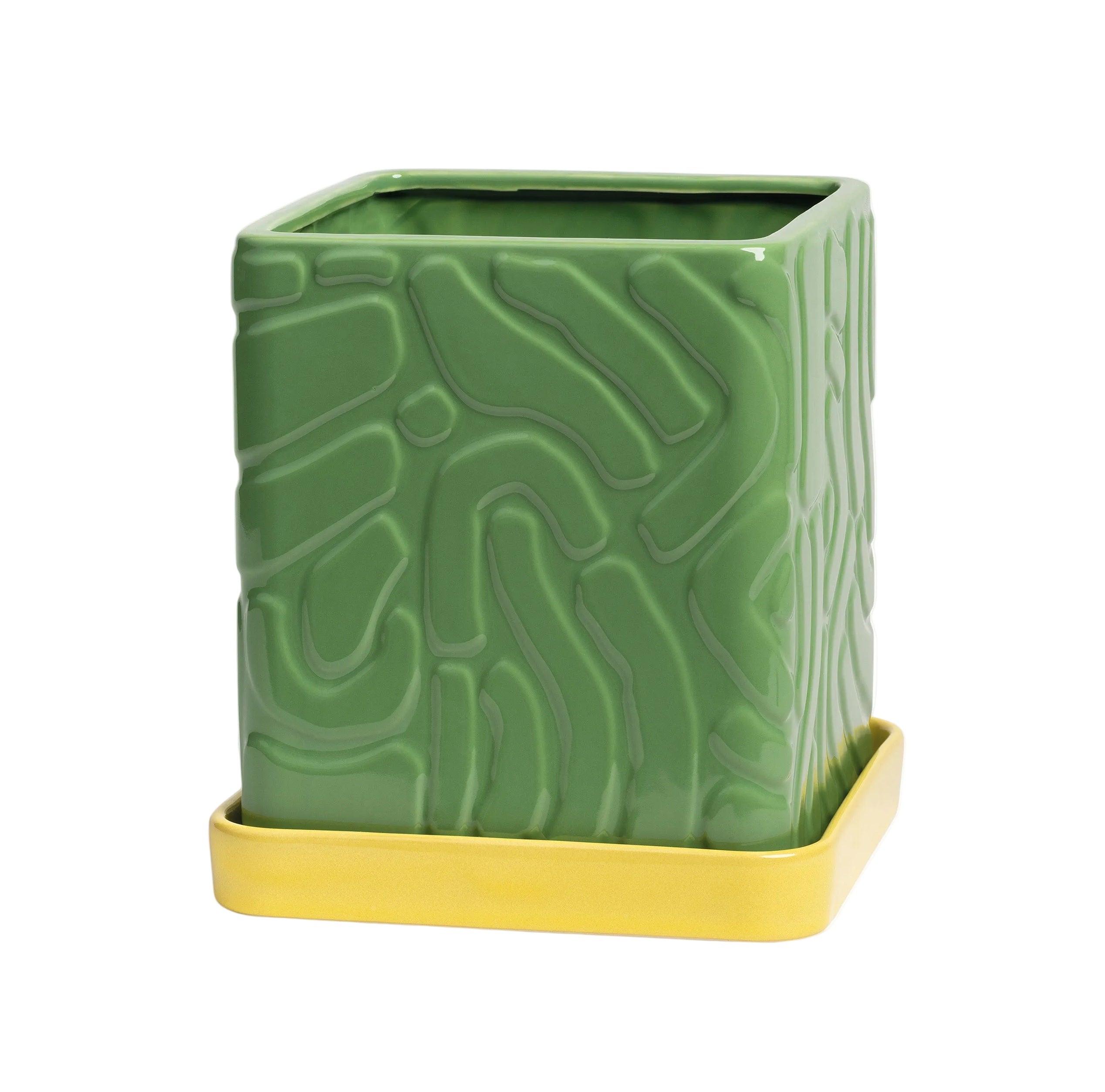 TRIBE pot in green with a yellow saucer