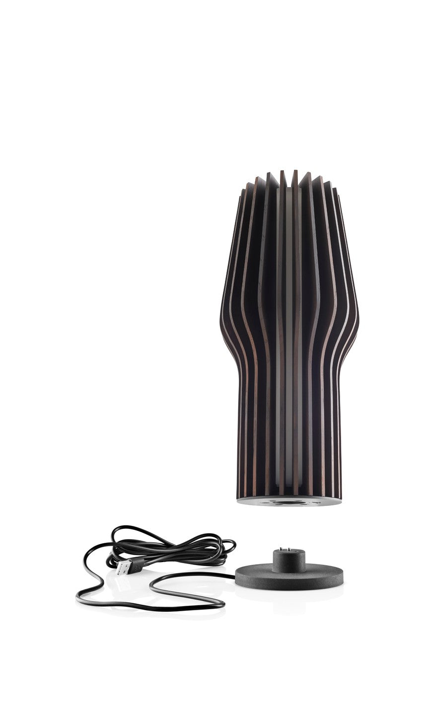 Prenosná lampa RADIANT dymový dub
