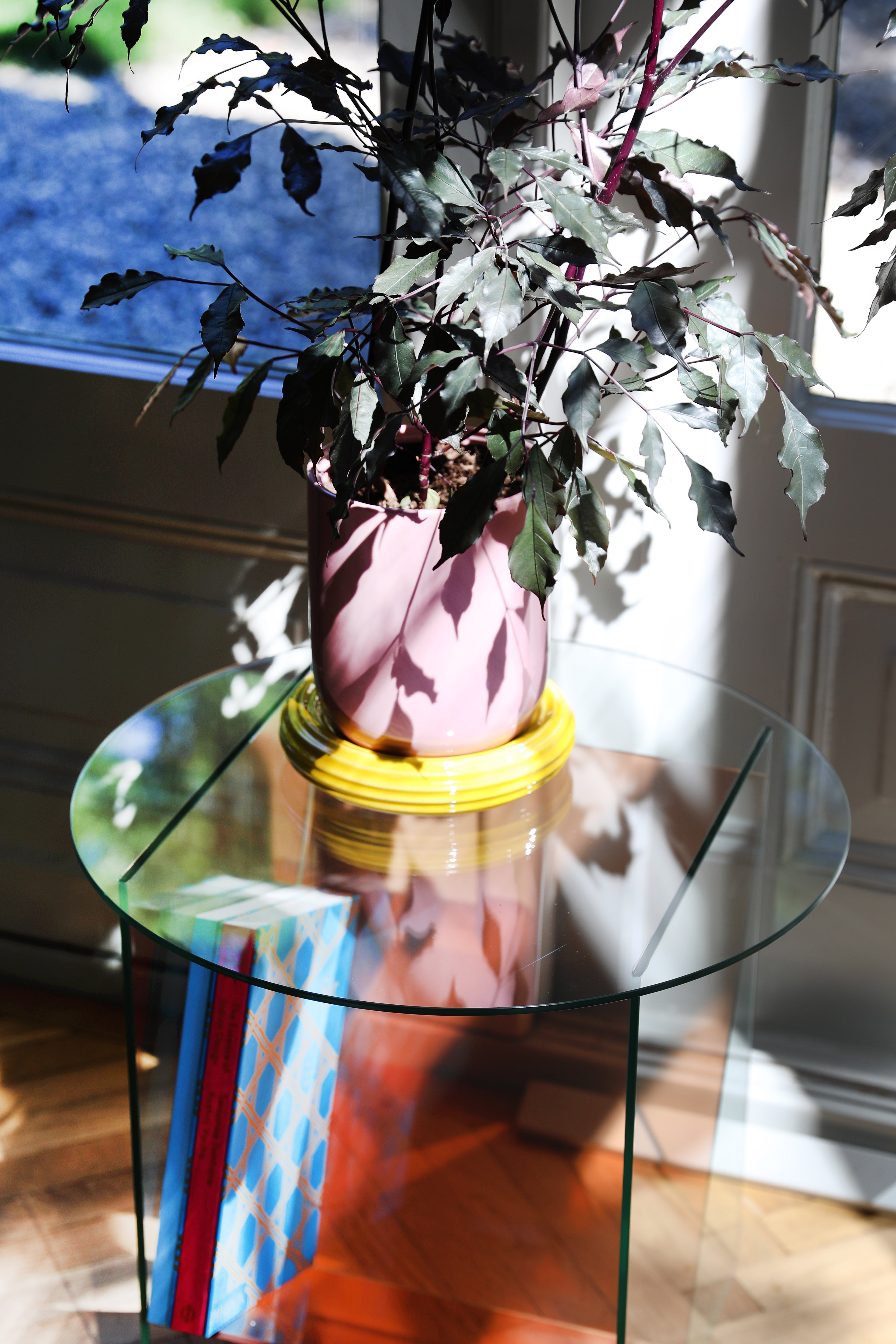 CHURROS pot in pink with a yellow saucer