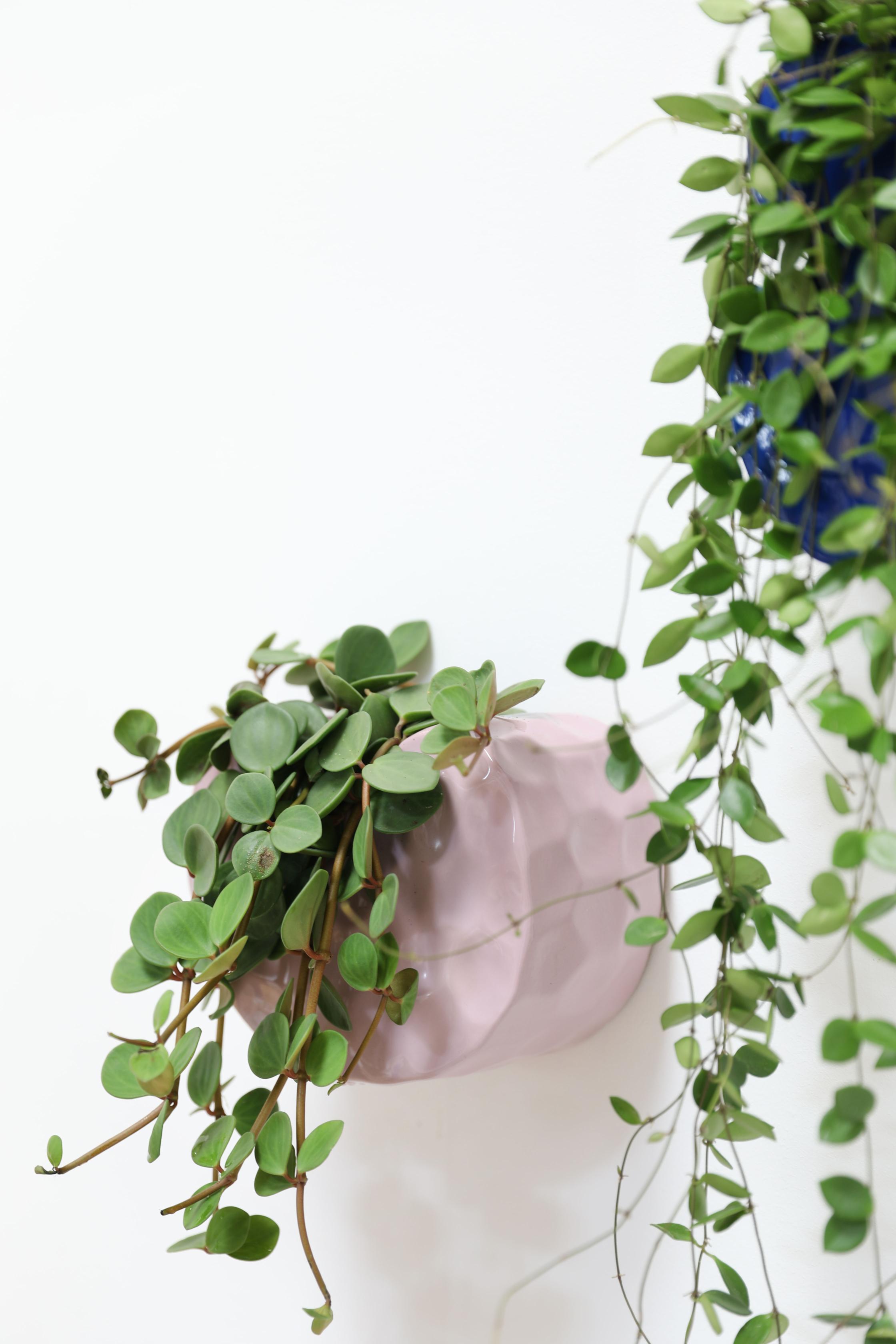 Nástenný kvetináč CLAY lila