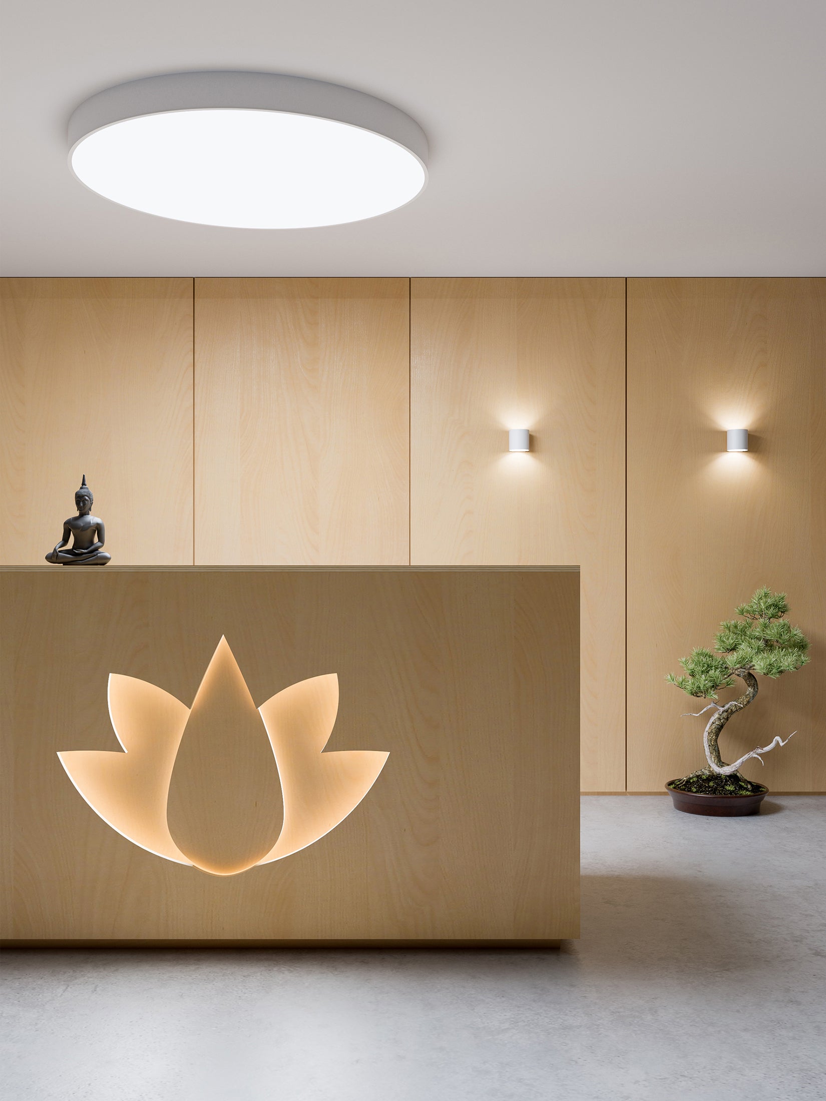 BIG SIZE NEXT ROUND surface-mounted fixture