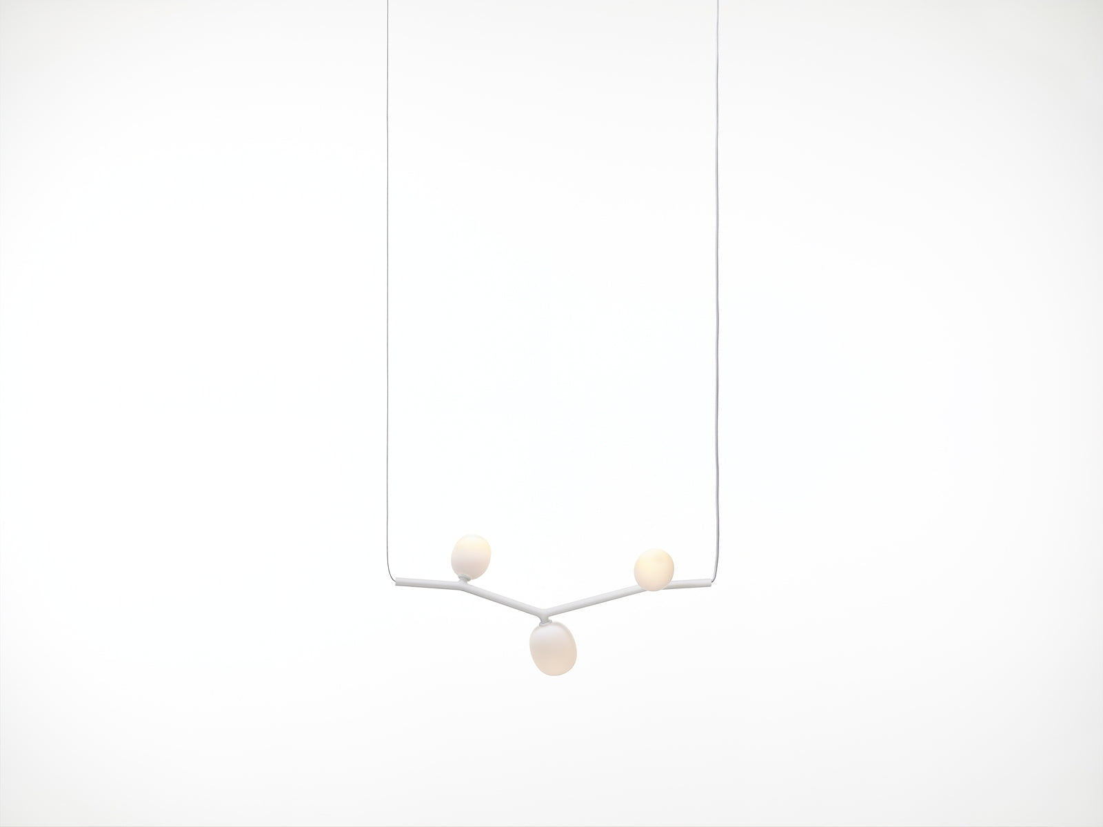 Ivy hanging lamp - Horizontal Matte glass