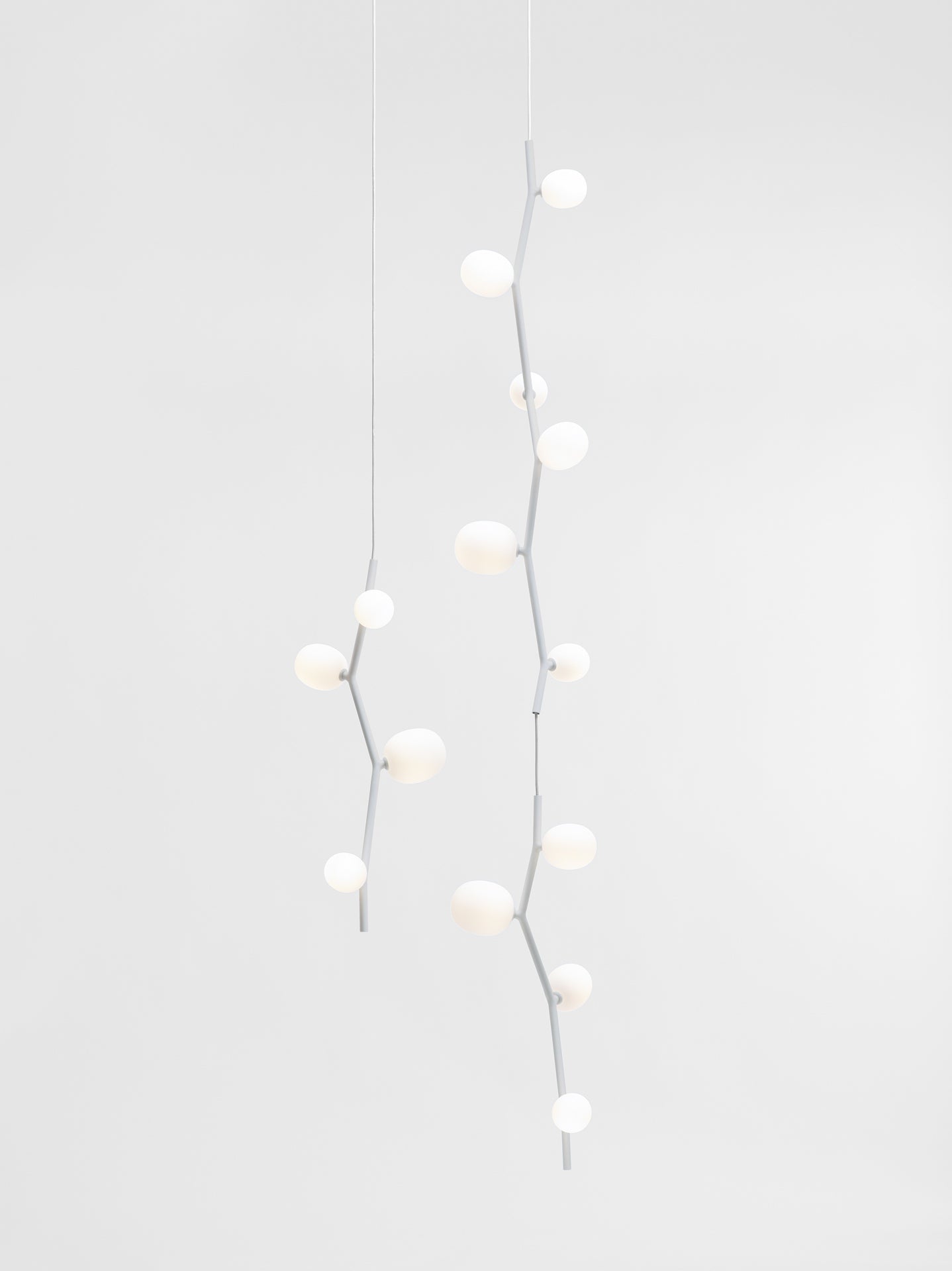 Ivy hanging lamp - vertical matt glass