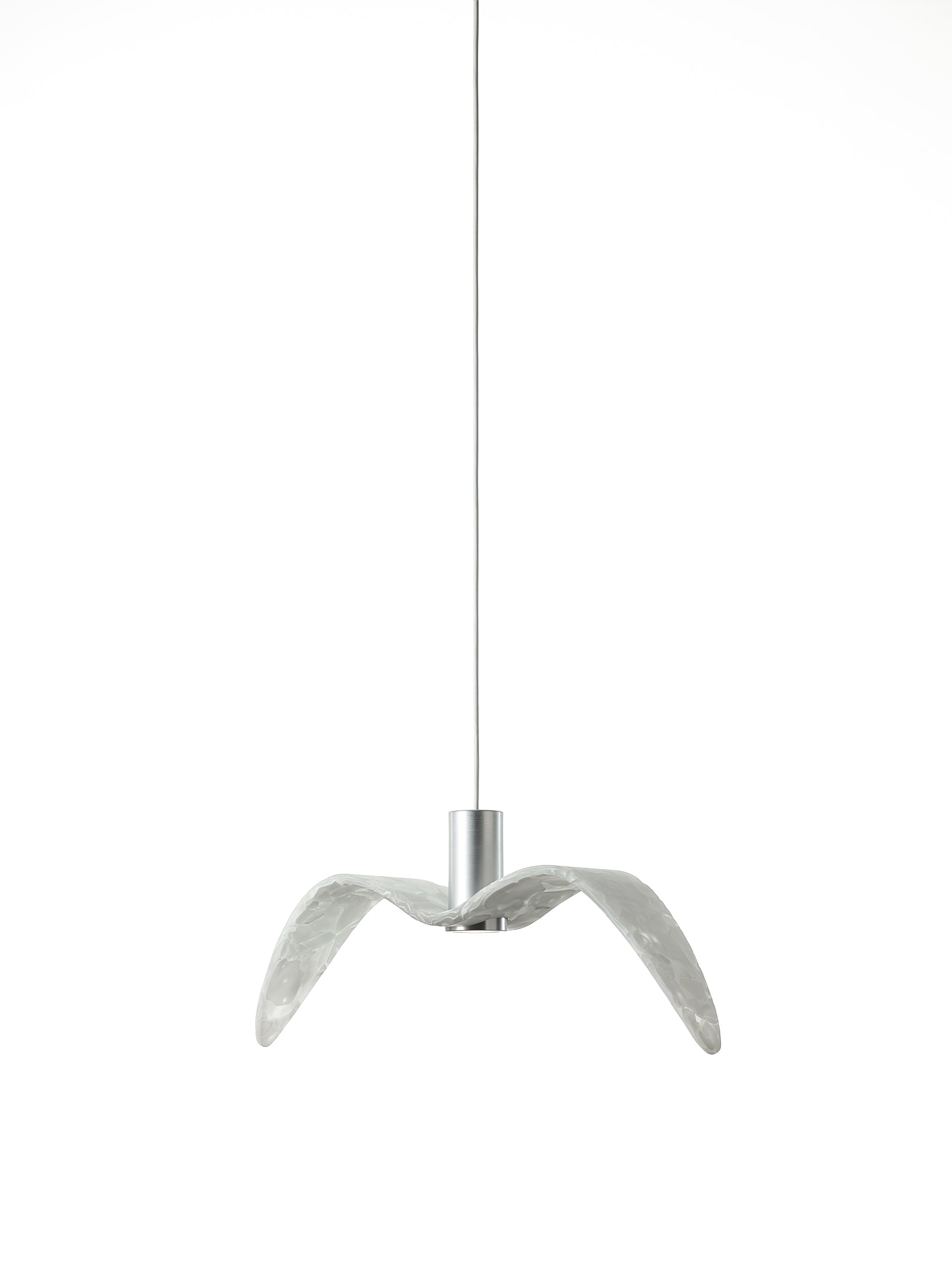 Outer hanging lamp Night Birds Exterior Glass