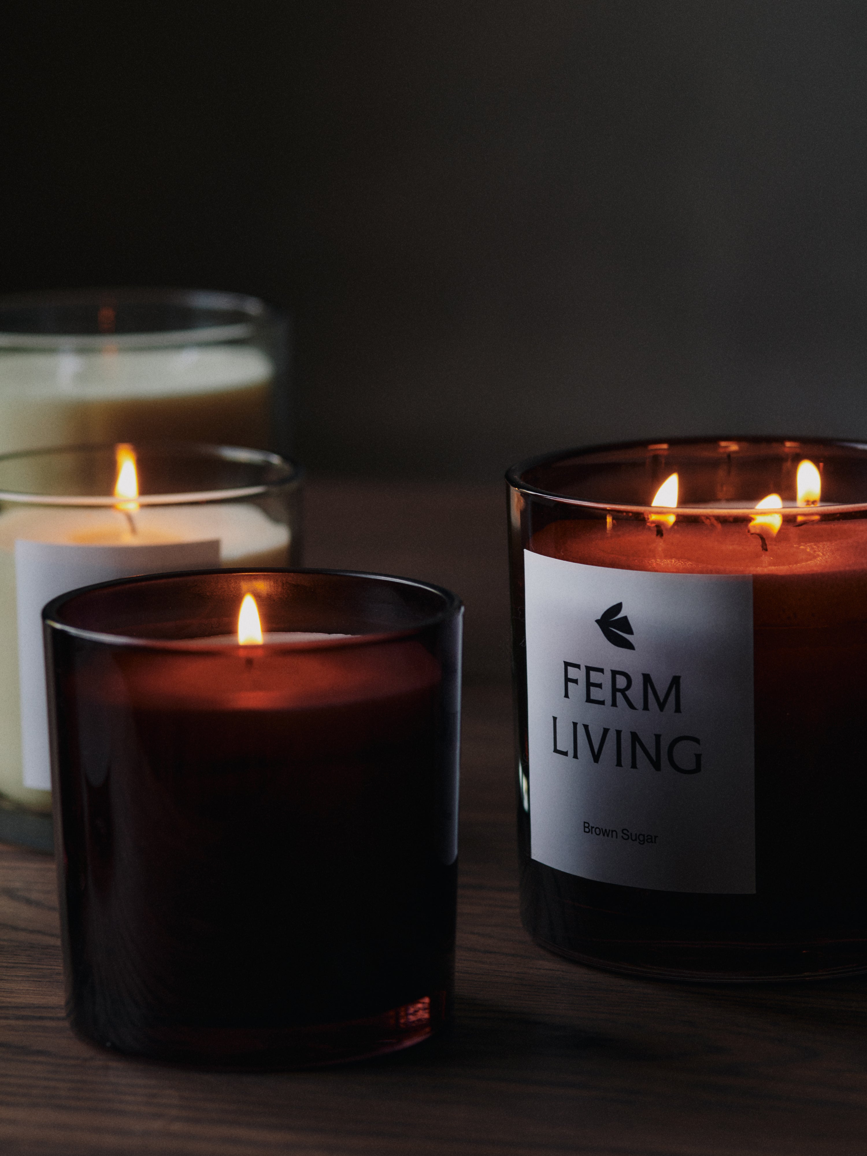 VITTO Fig and Bergamot Scented Candle