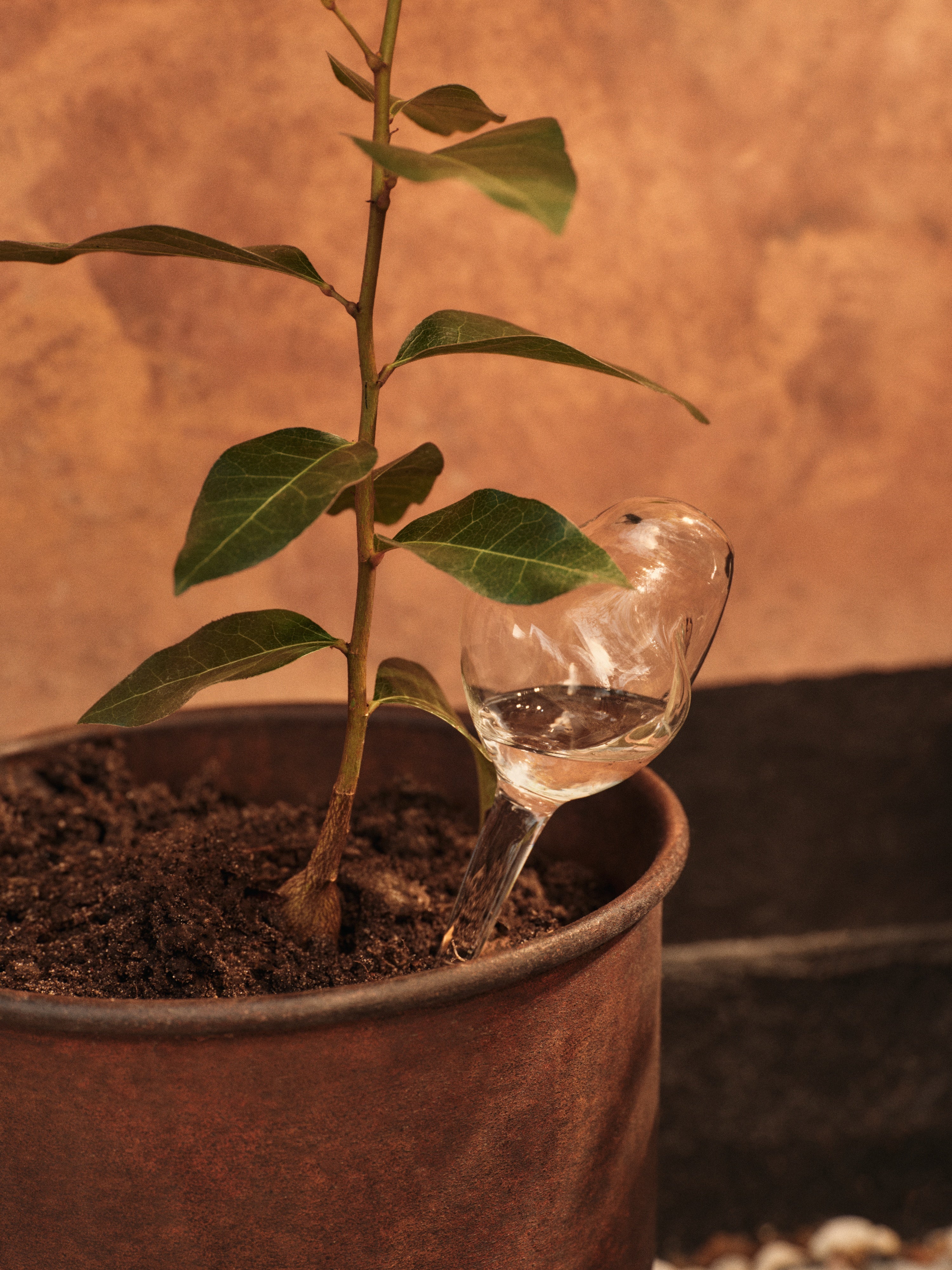 Súprava zavlažovacích guľ MERCURY sklo