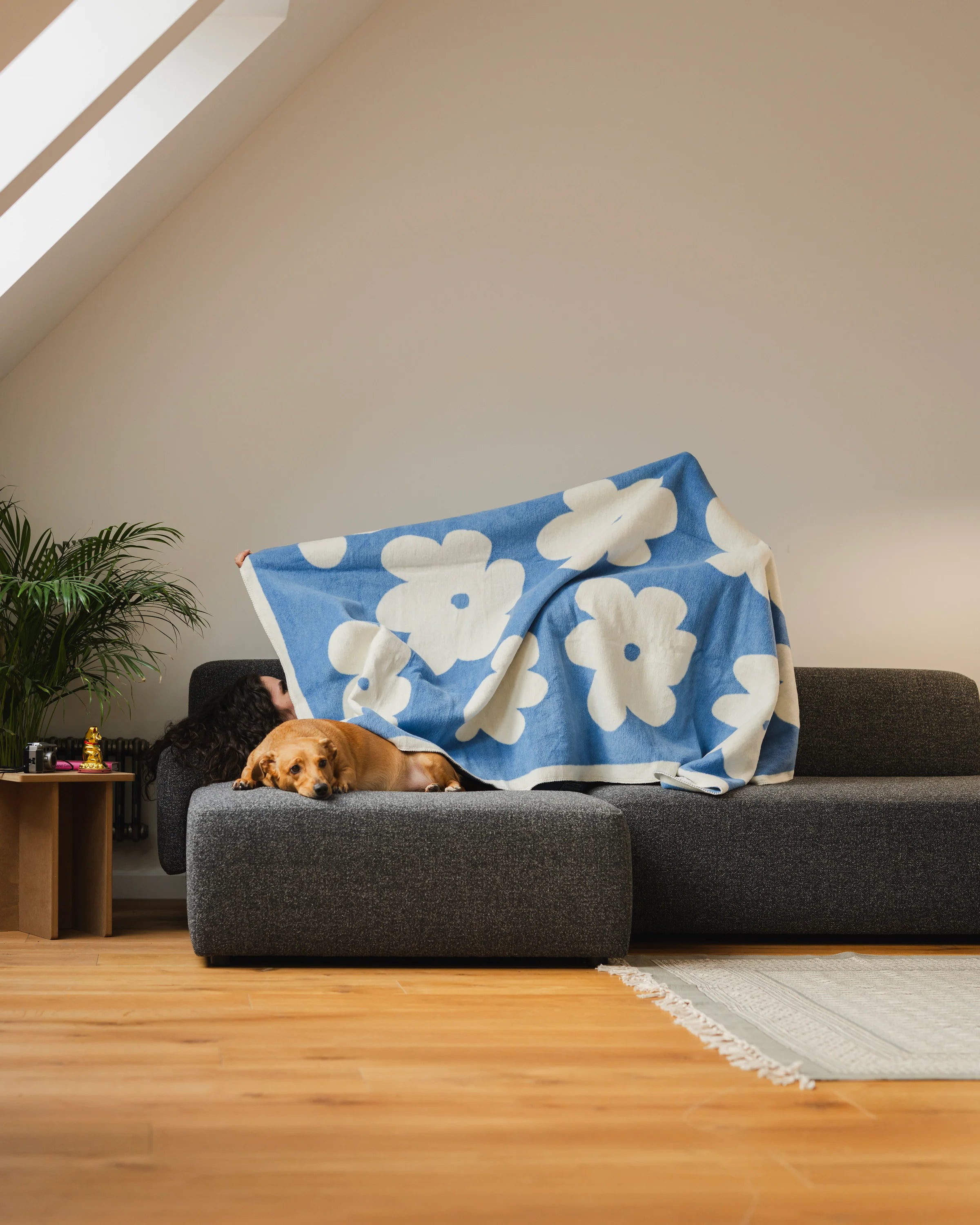 Koc FLO modrá obloha a ecru