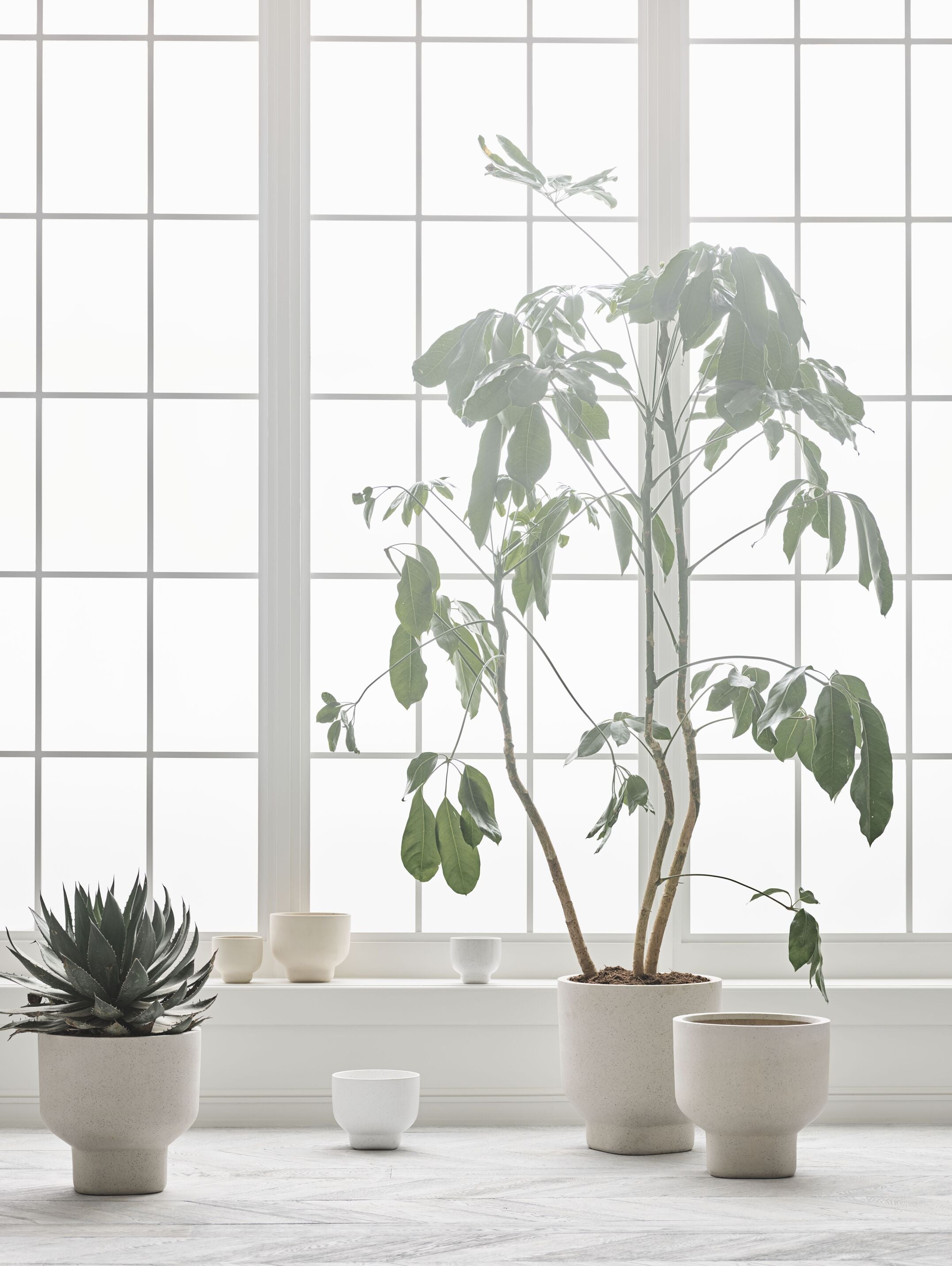 Kvetináč FORMA biely