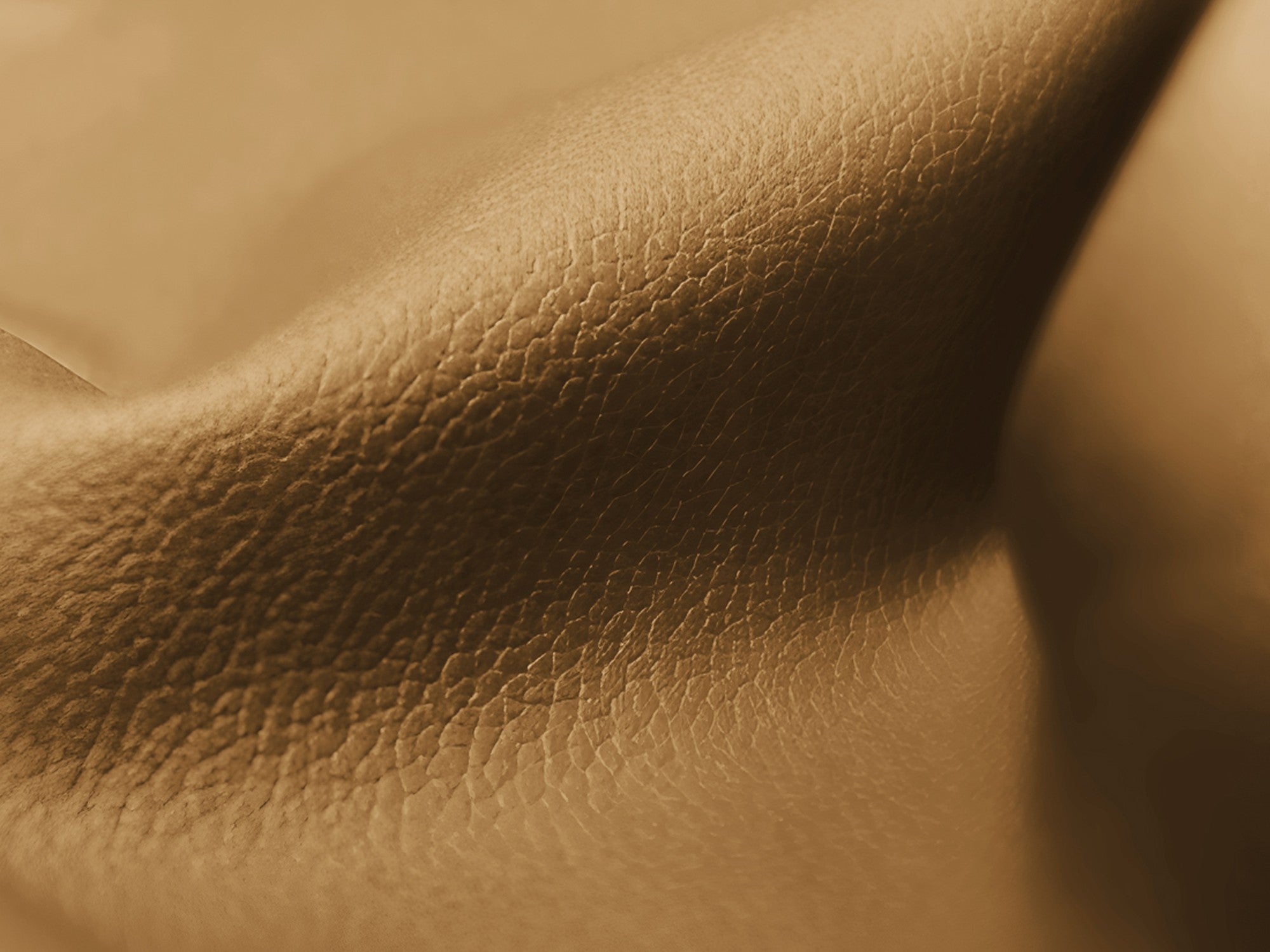 Modulárny pravý roh LOKUA karamelová ekologická koža