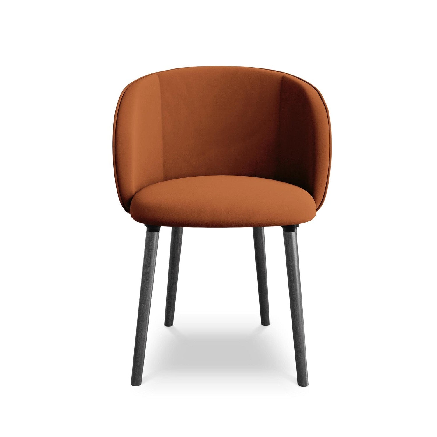 Velvet Chair MAIA Terracotta with Black Oak Base