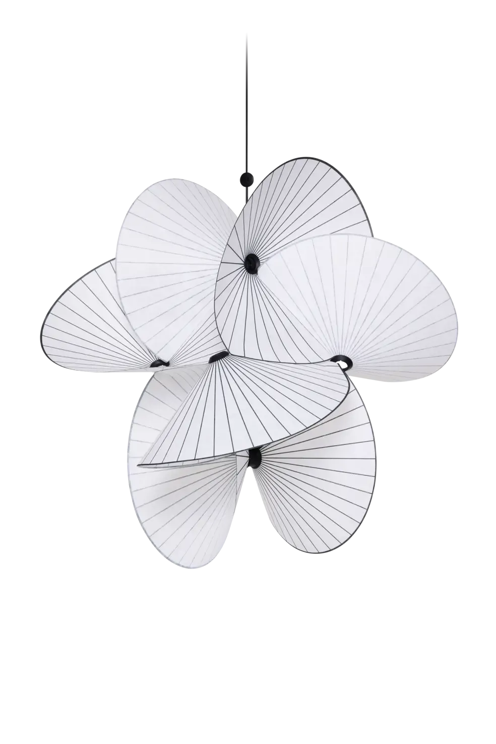 White Serpentine Light Light Light