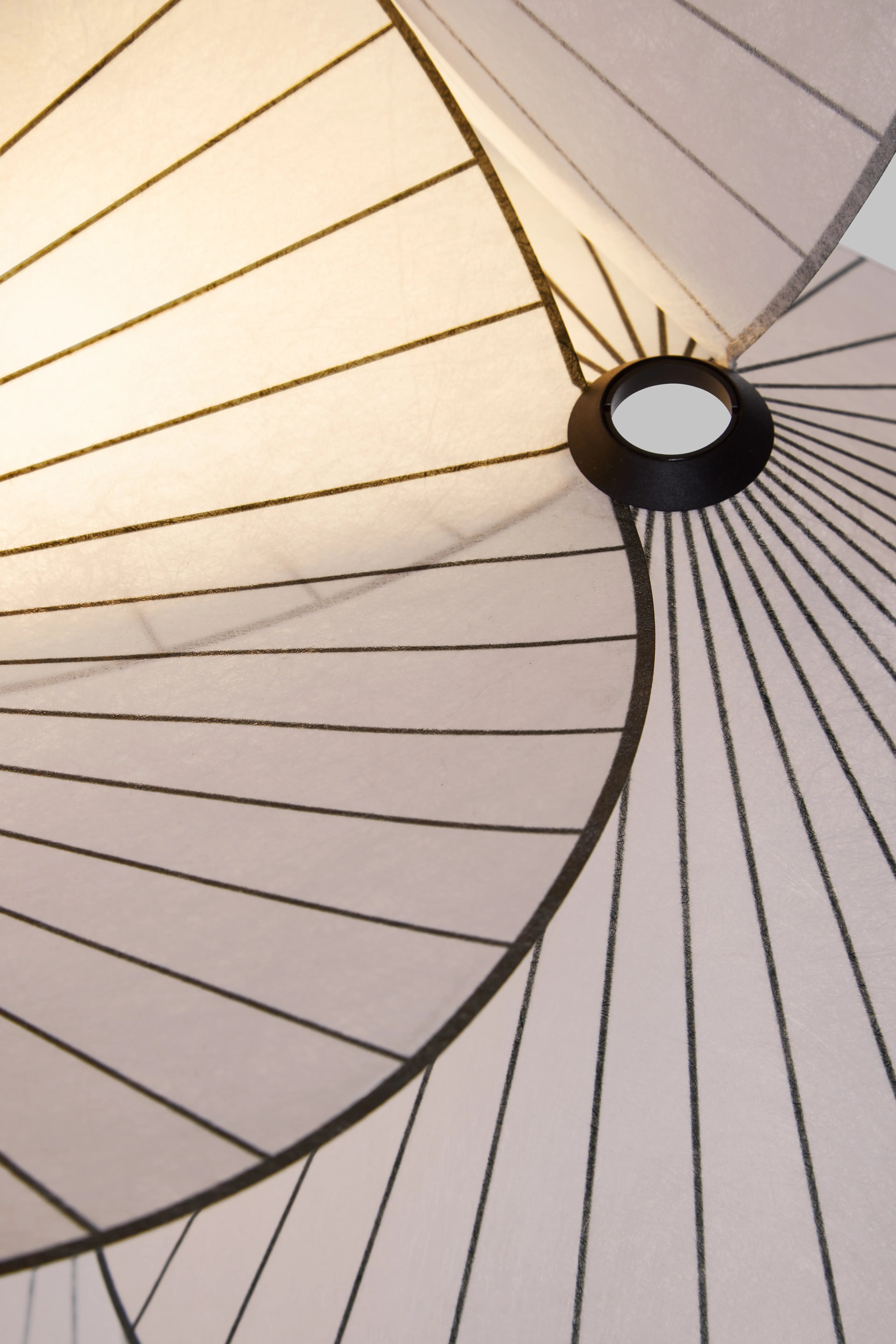 White Serpentine Light Light Light