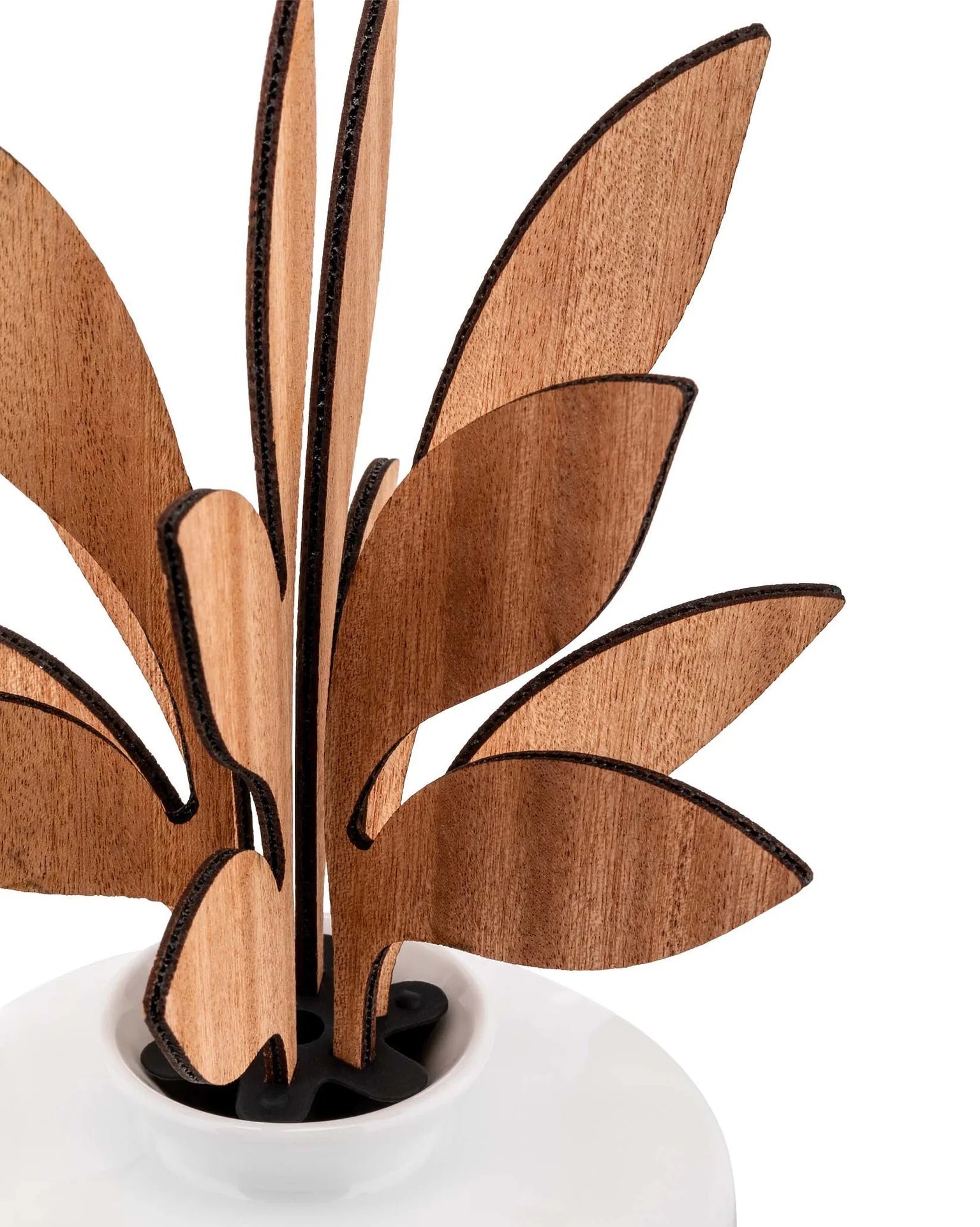 Five Seasons diffuser - Ahhh notes of cardamom, hyacinth and vetora