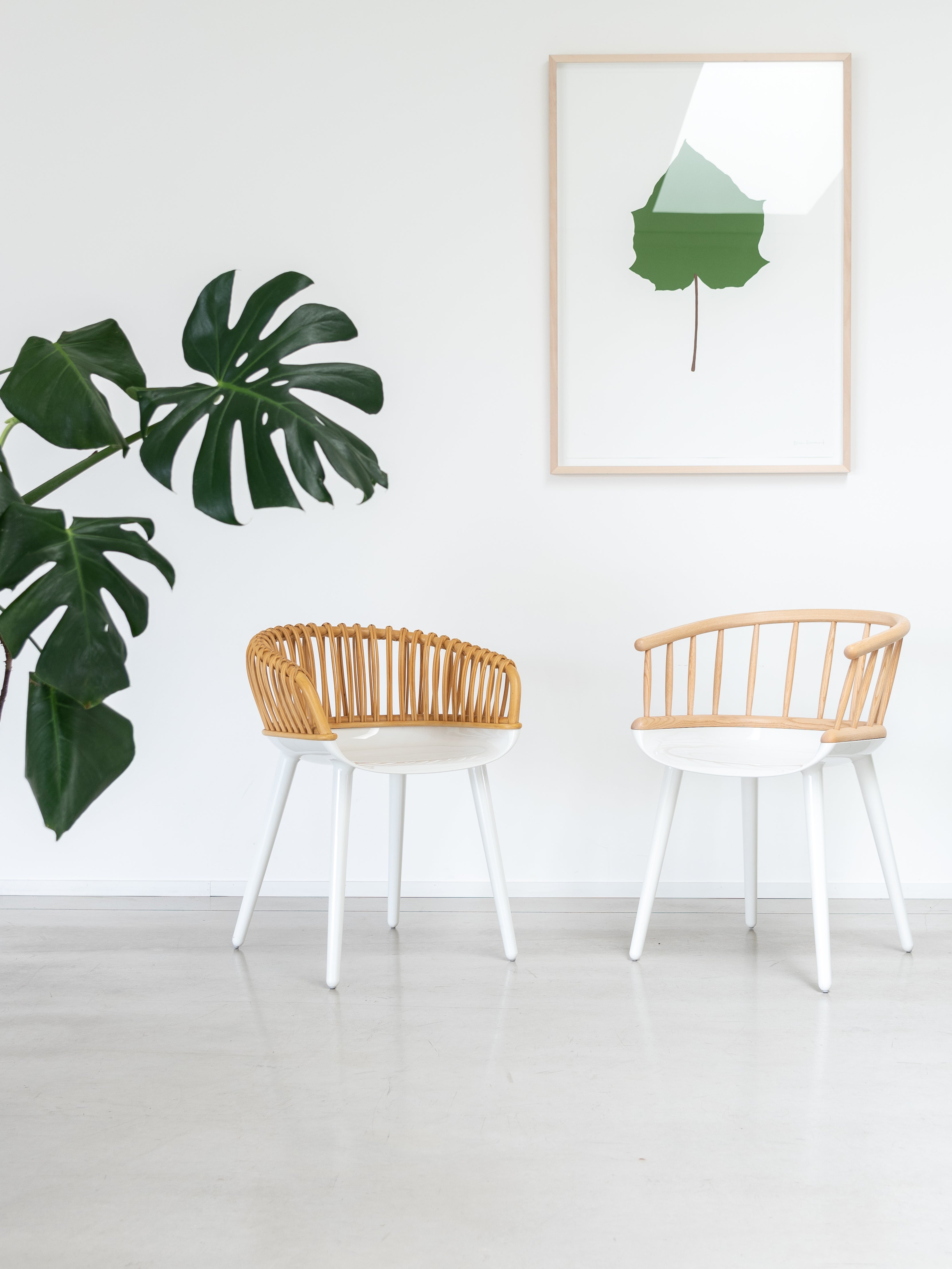 CYBORG STICK chair with a white base and ash wood.