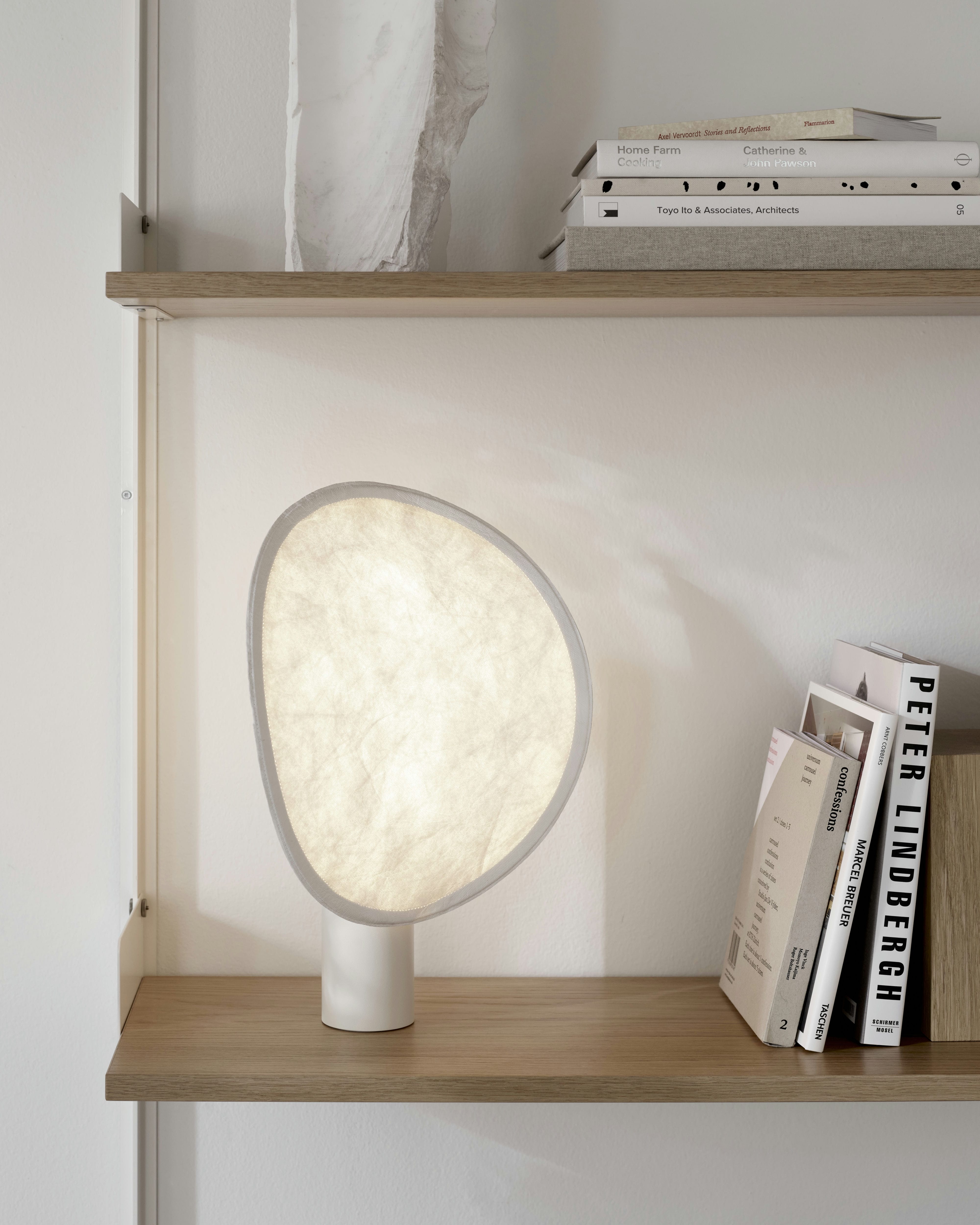 TENSE BAZE FINE LAMP LAMP