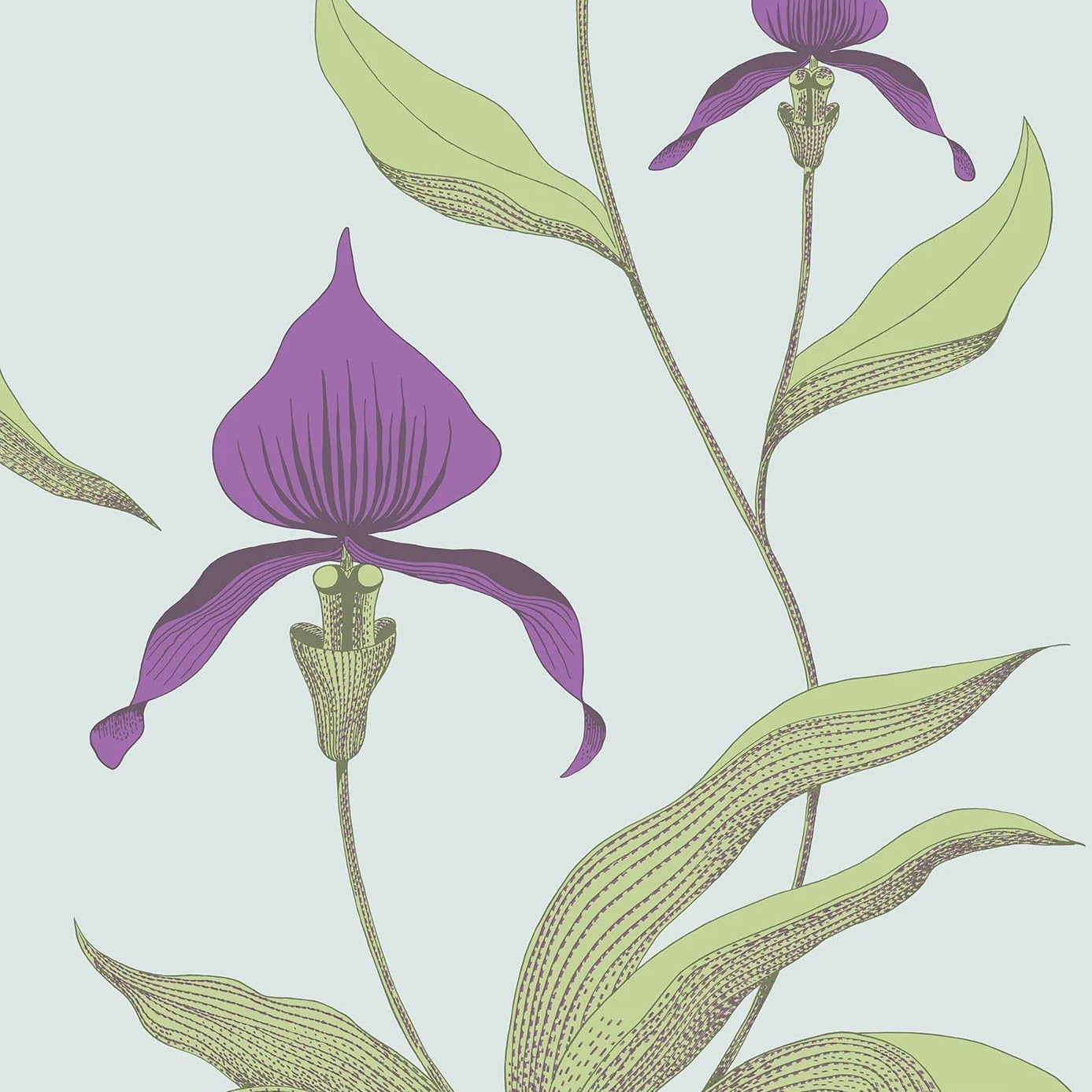 Tapeta s rastlinným motívom kvetov orchideí SOUČASNÁ KOLEKCE - ORCHIDEA fialová so zelenou