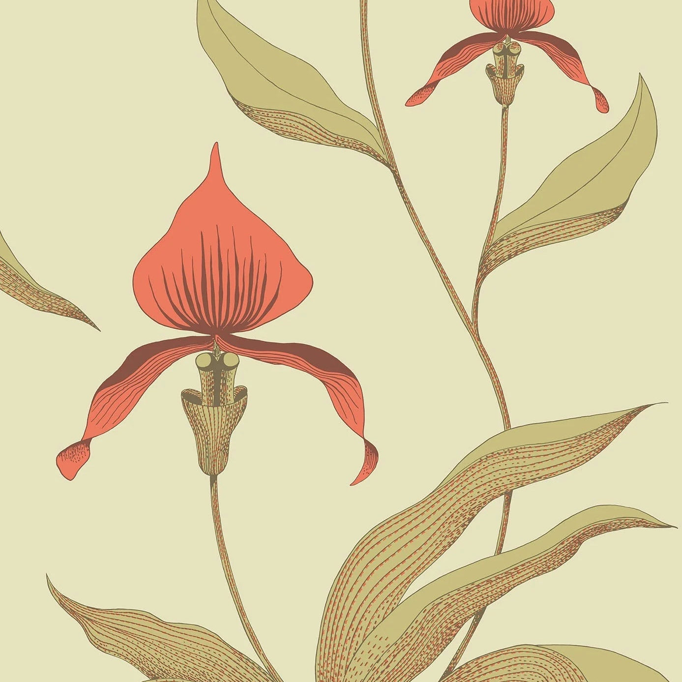 Wallpaper with a plant motif of orchid flowers CONTEMPORARY COLLECTION - OLIVE with orange
