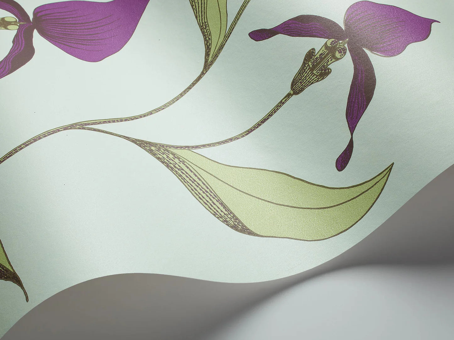 Tapeta s rastlinným motívom kvetov orchideí SOUČASNÁ KOLEKCE - ORCHIDEA fialová so zelenou