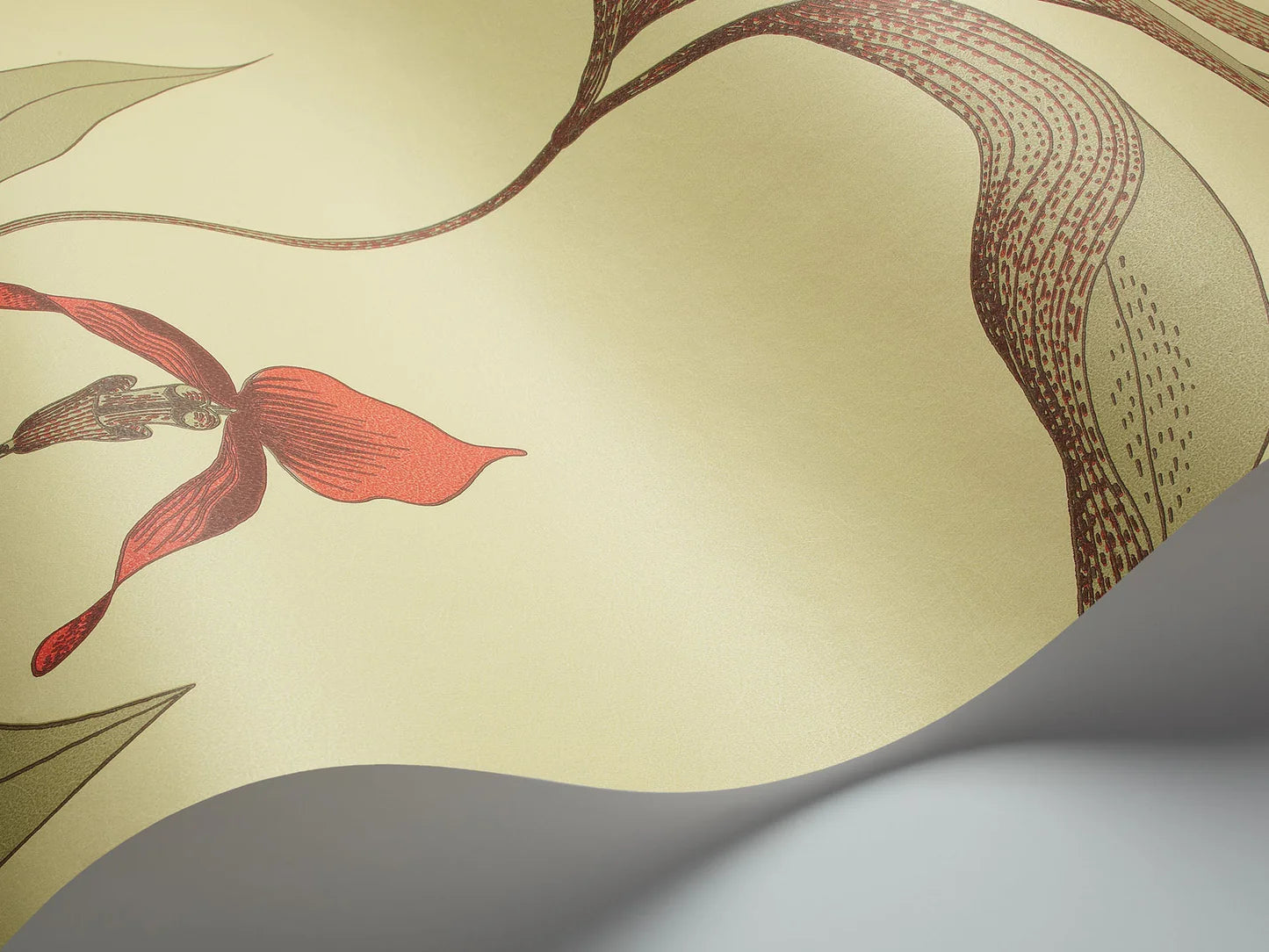 Wallpaper with a plant motif of orchid flowers CONTEMPORARY COLLECTION - OLIVE with orange