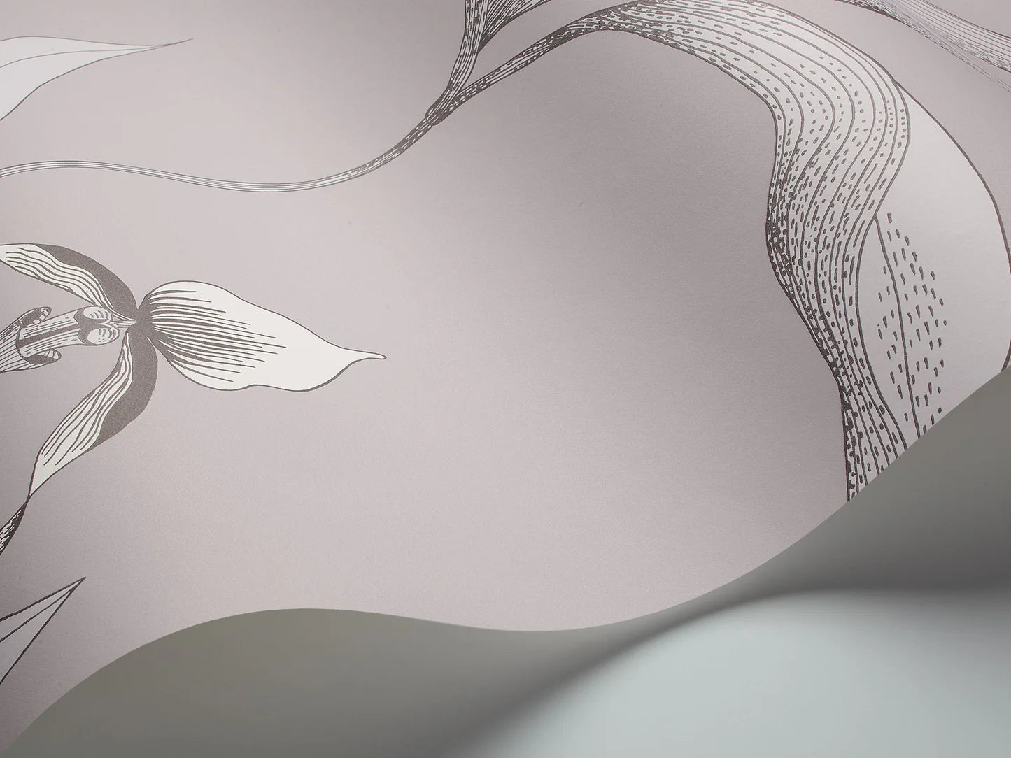 Tapeta s motívom rastlín kvetov orchideí SOUČASNÁ KOLEKCE - ORCHIDEA biela so šedou