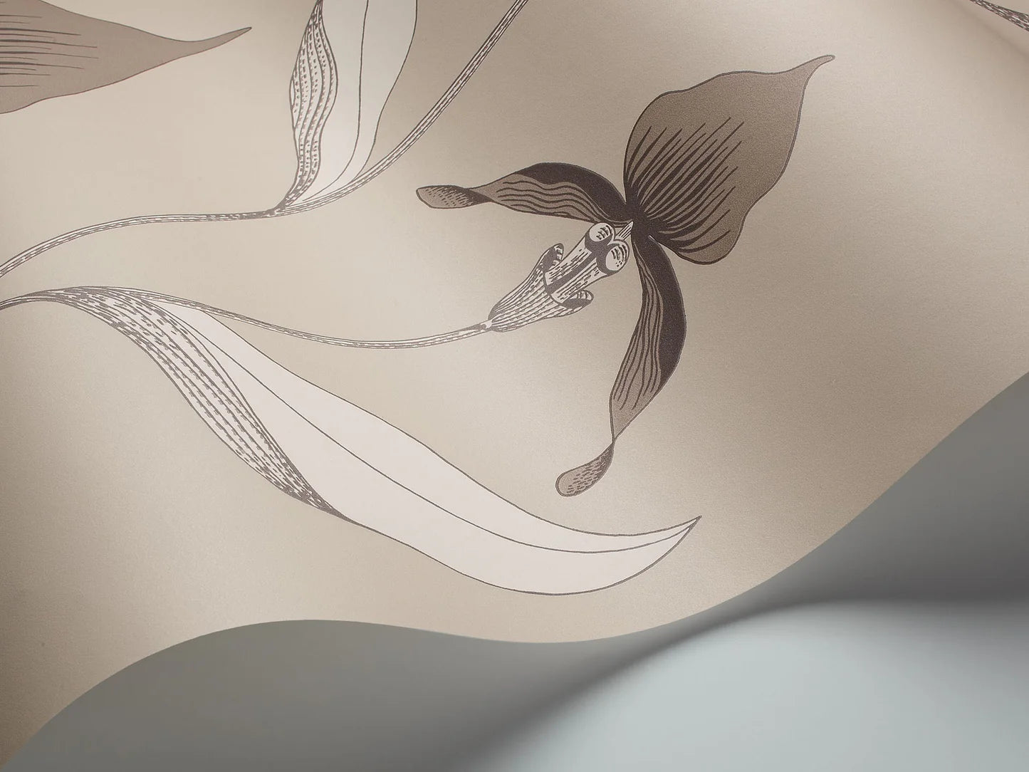 Tapeta s rastlinným motívom kvetov orchideí SOUČASNÁ KOLEKCE - ORCHIDEA taupe s hnedou