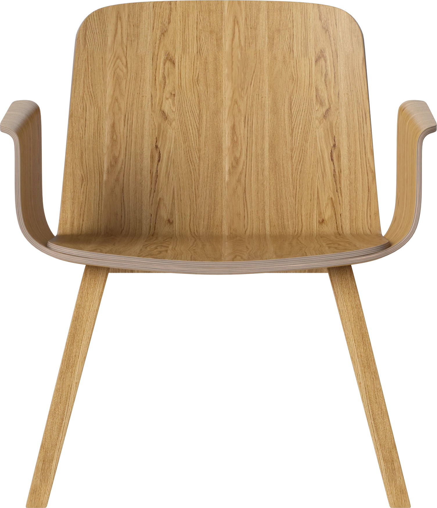 Fotel s opierkami PALM dubový dyha