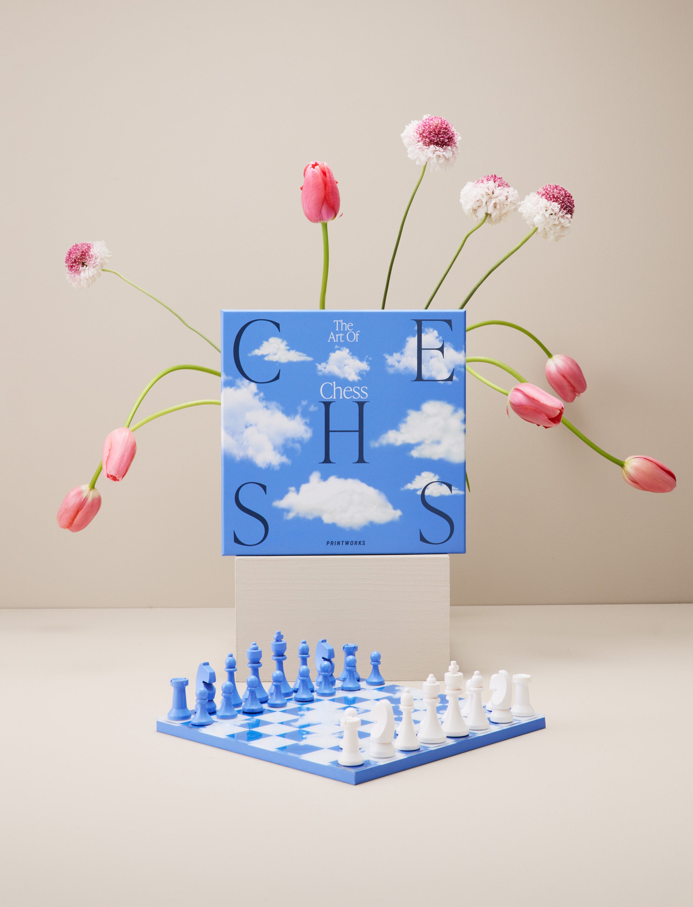 CHESS CLOUDS Blue and White Chess Set