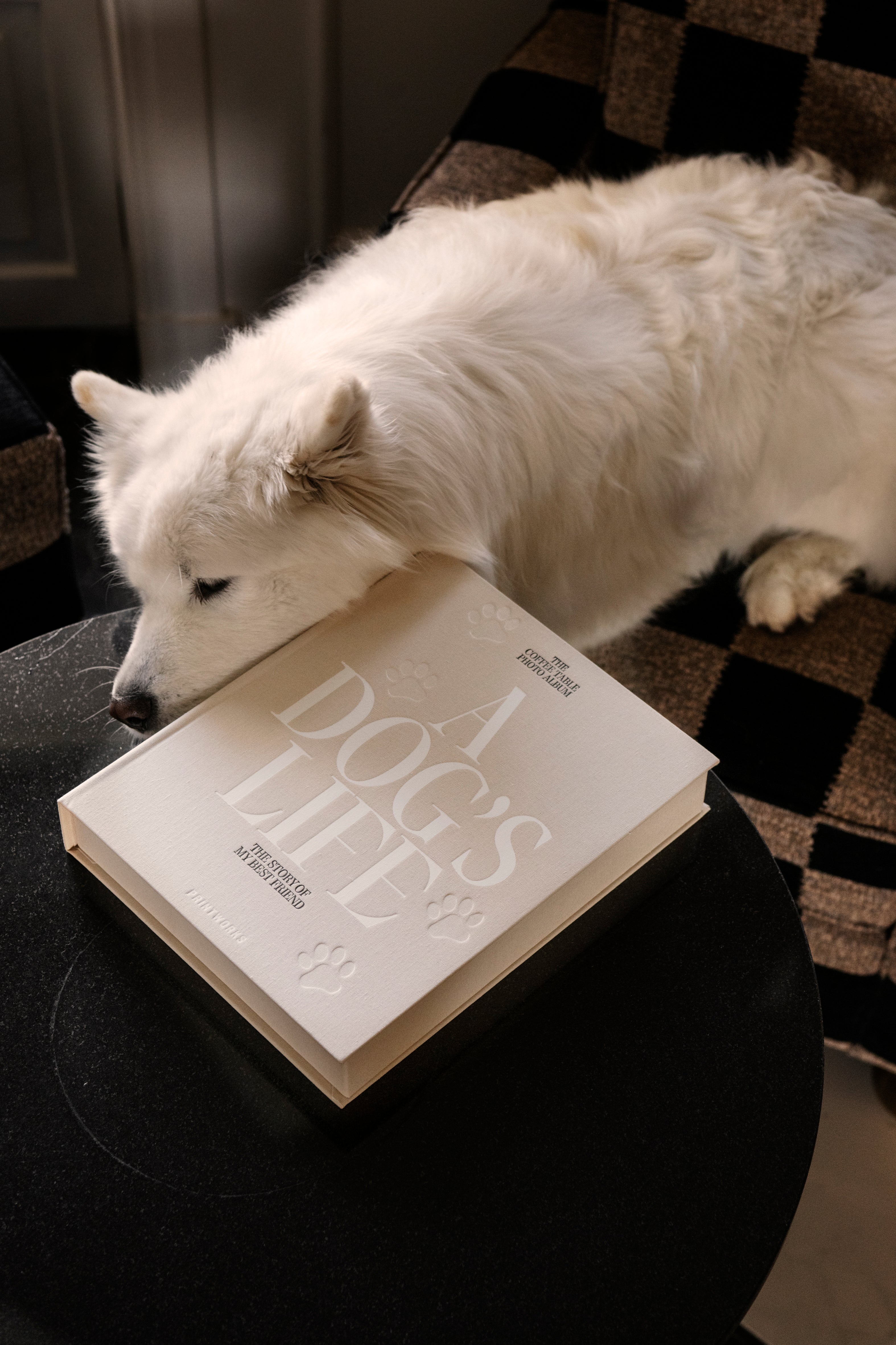 Album na fotografie A DOG'S LIFE béžový