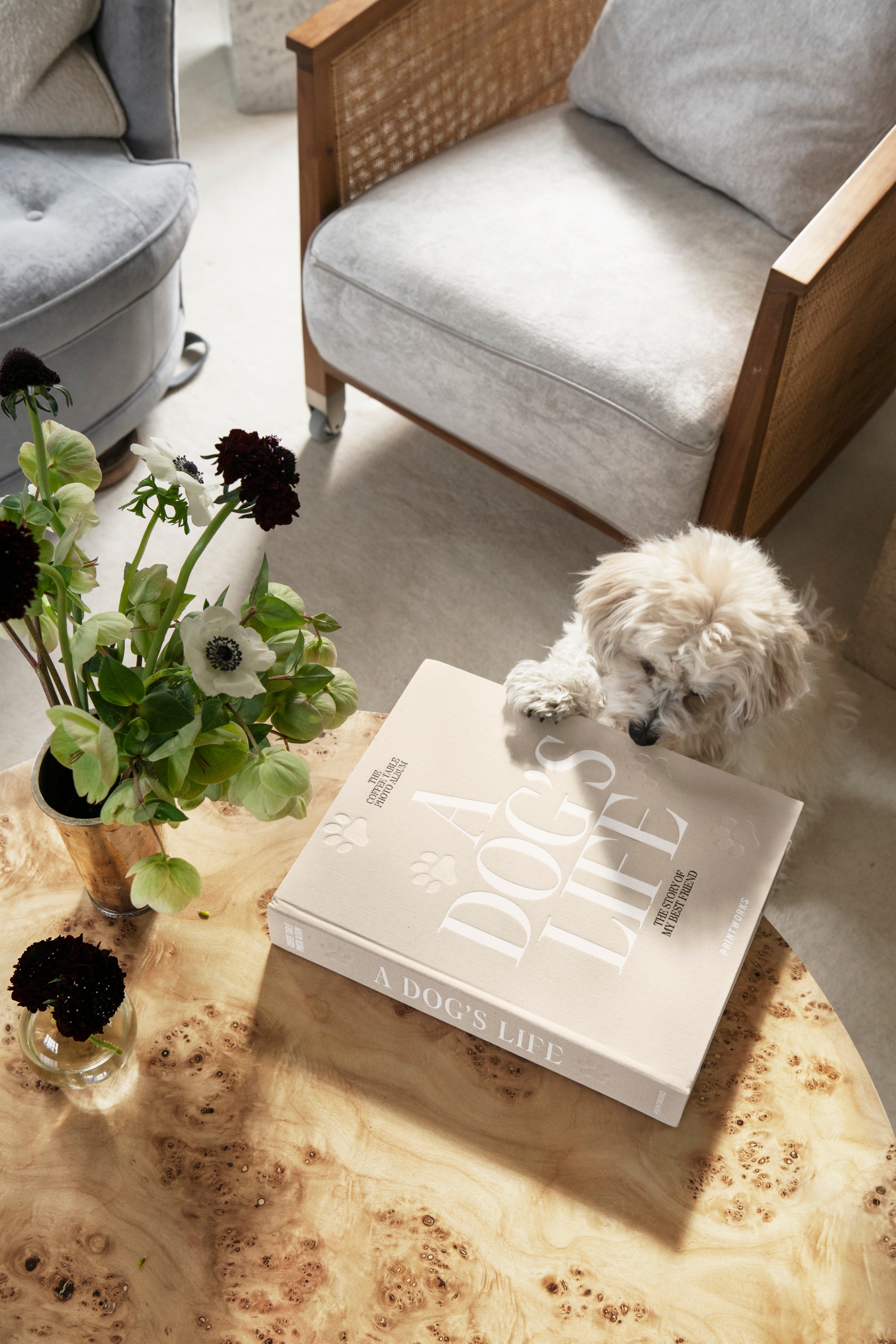 Album na fotografie A DOG'S LIFE béžový