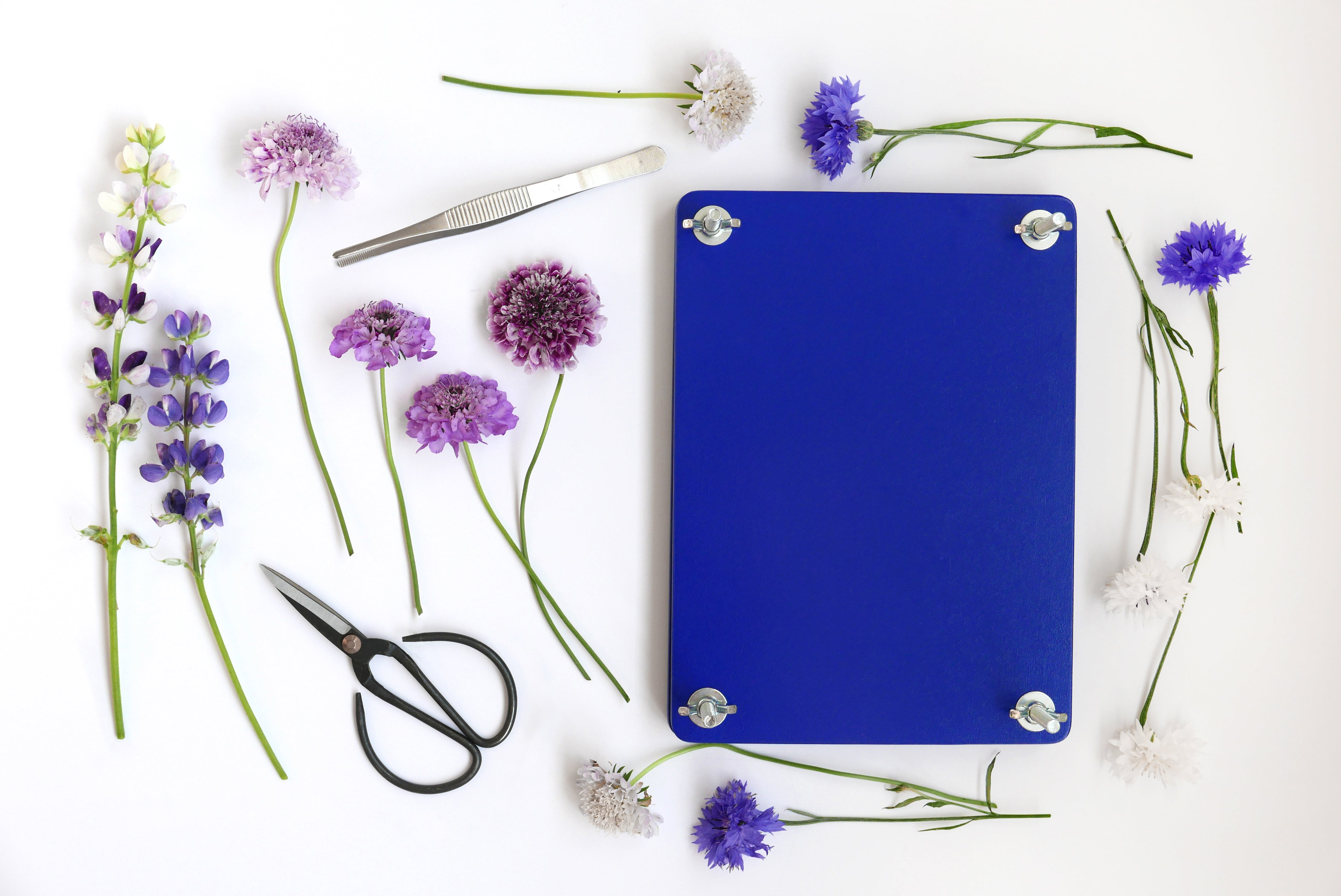 Súprava na sušenie kvetov FLOWER PRESS SET modrá