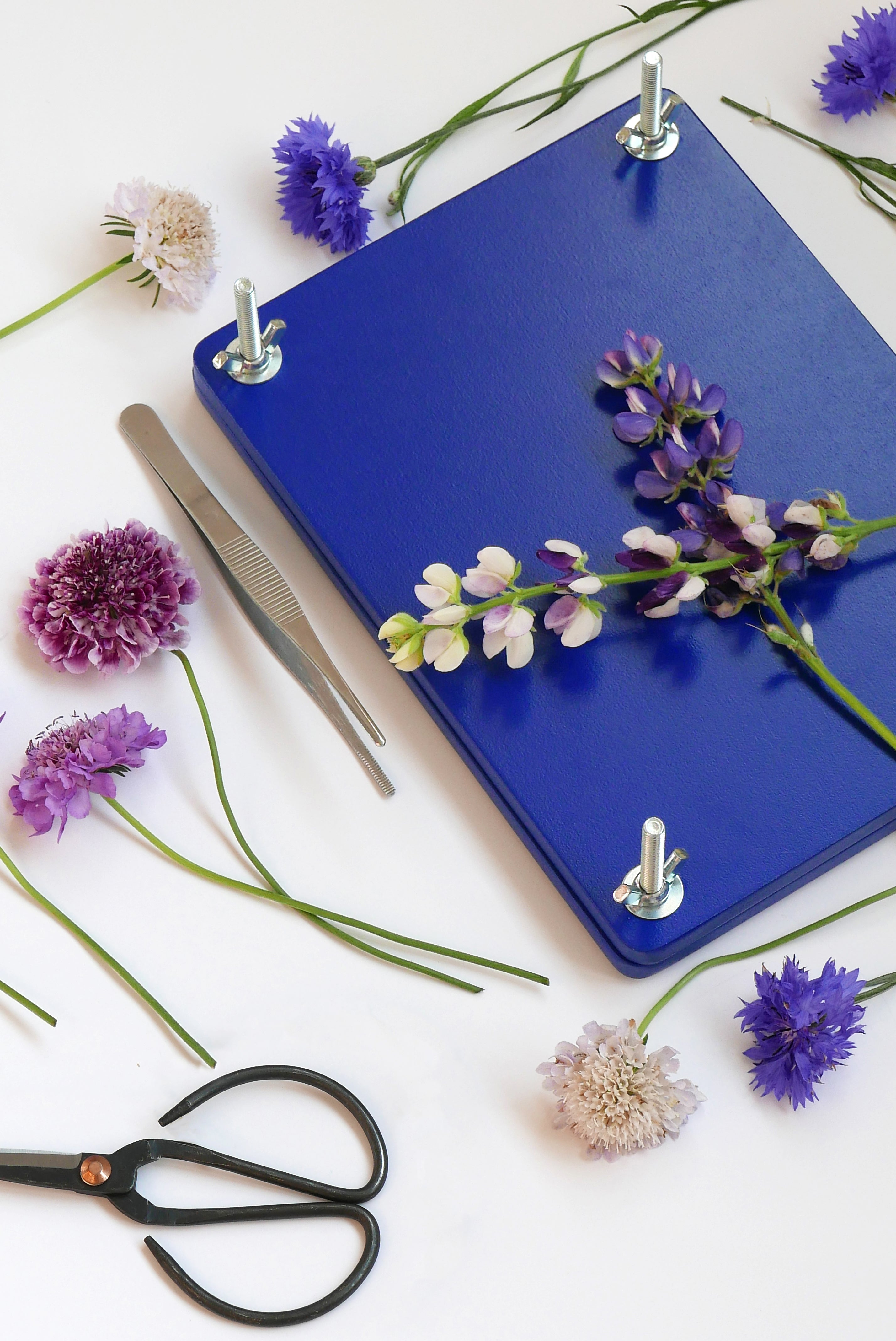 Súprava na sušenie kvetov FLOWER PRESS SET modrá