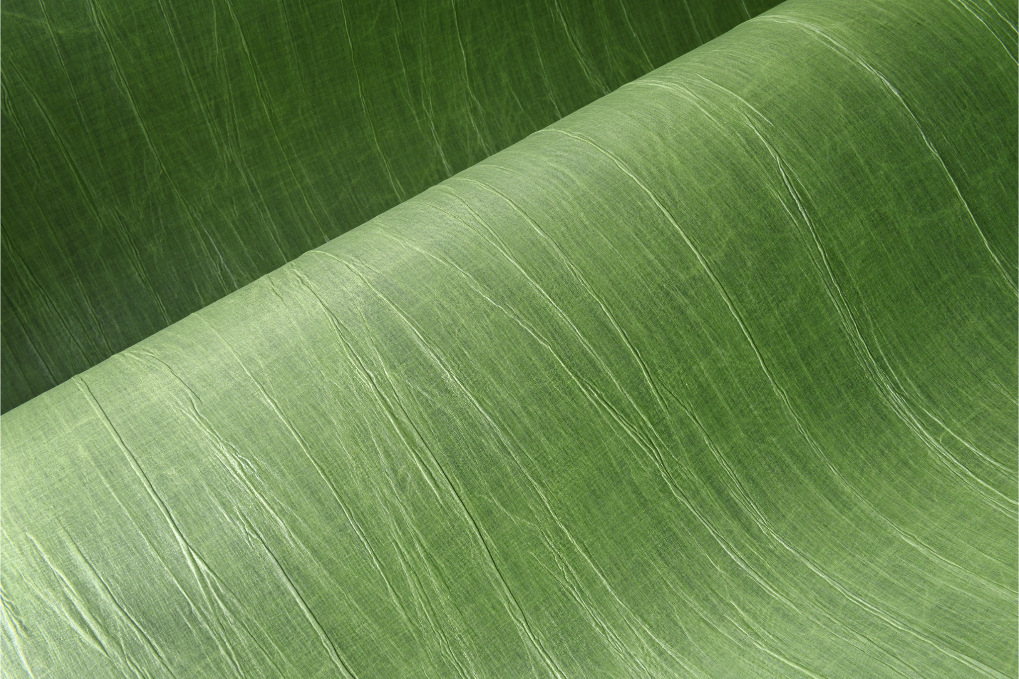 Pleated wallpaper PYXIS green