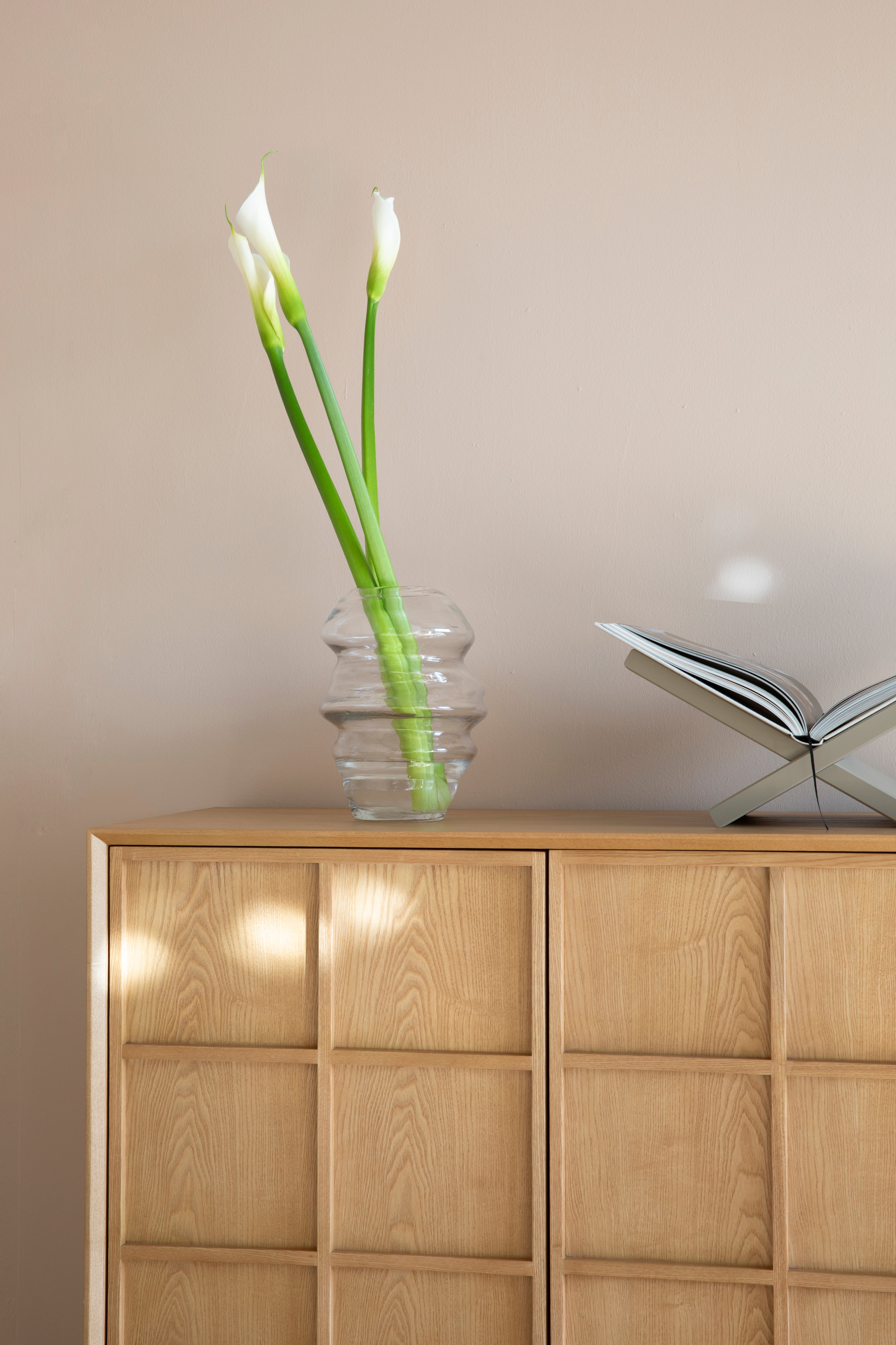 RASTER Ash Veneer Wardrobe