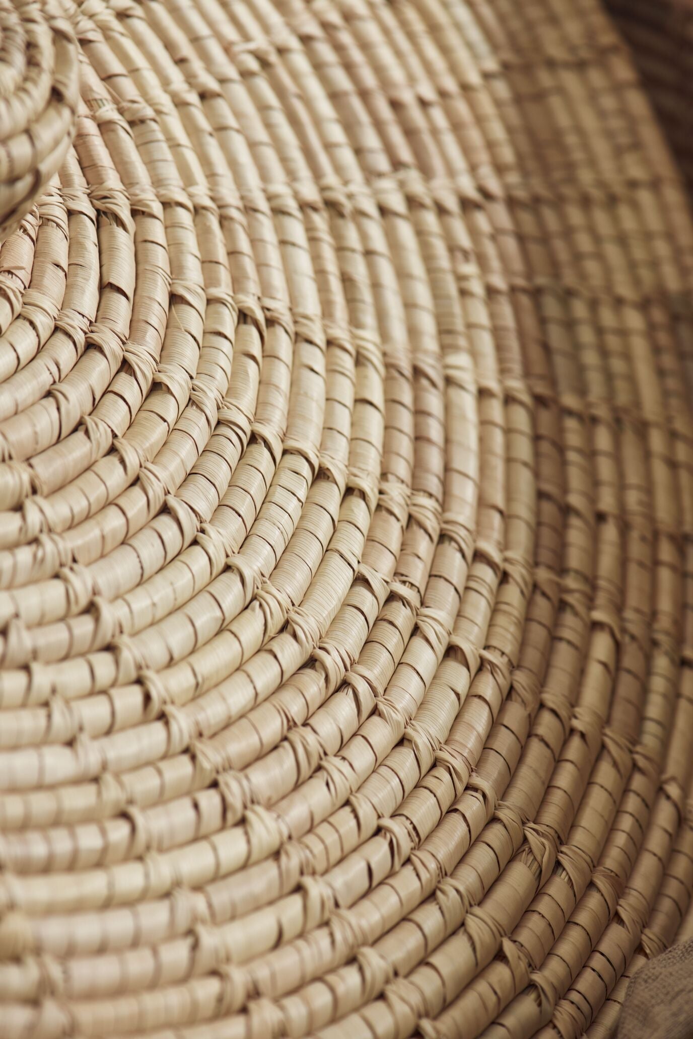 Košík TULIP s palmovými listami