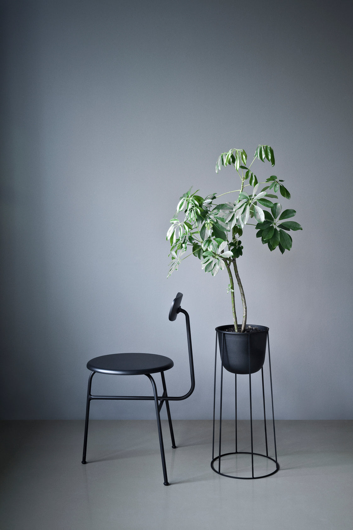 AFTEROOM chair with oak veneer and upholstered green seat