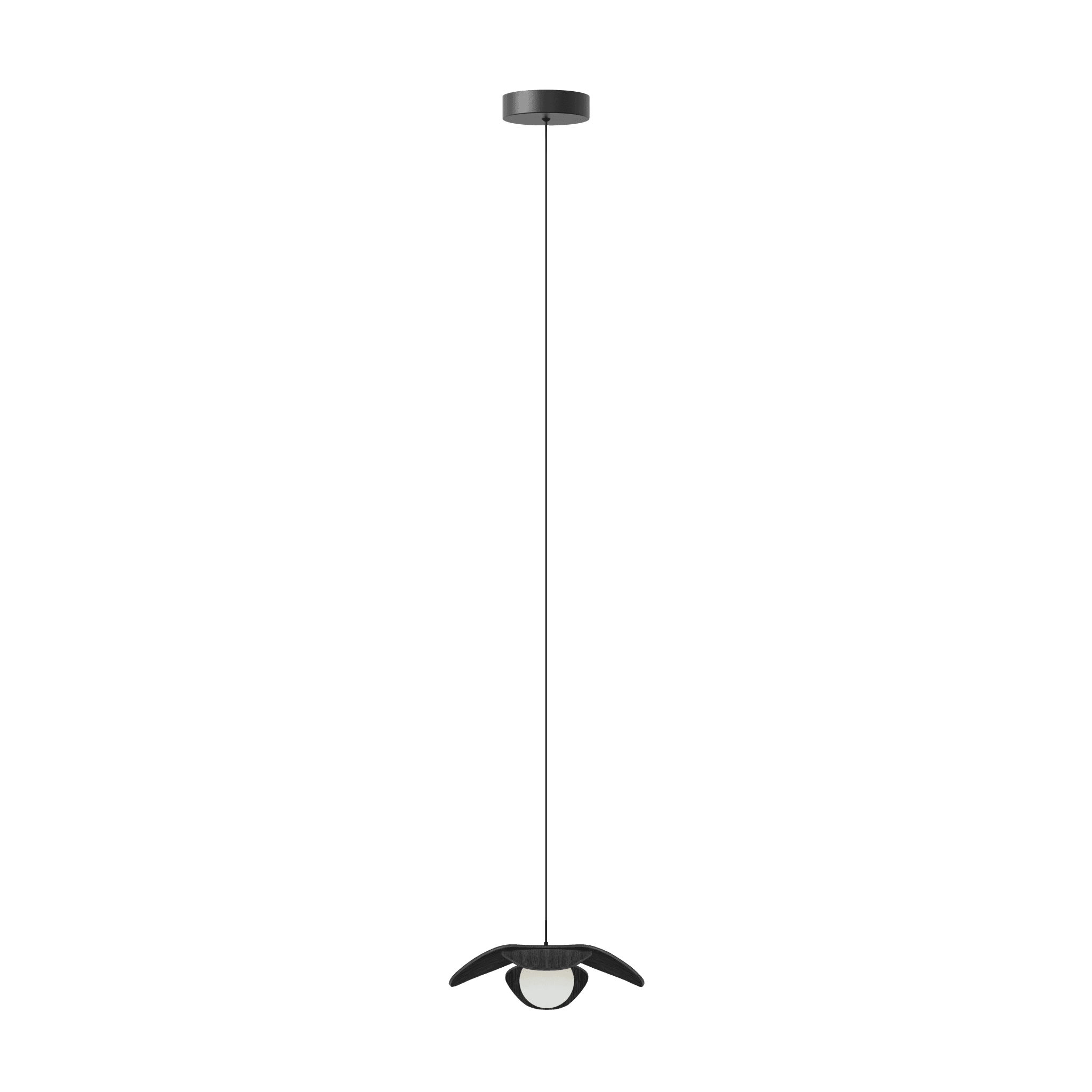 Abażur FORGET ME NOT czarny dąb UMAGE Eye on Design