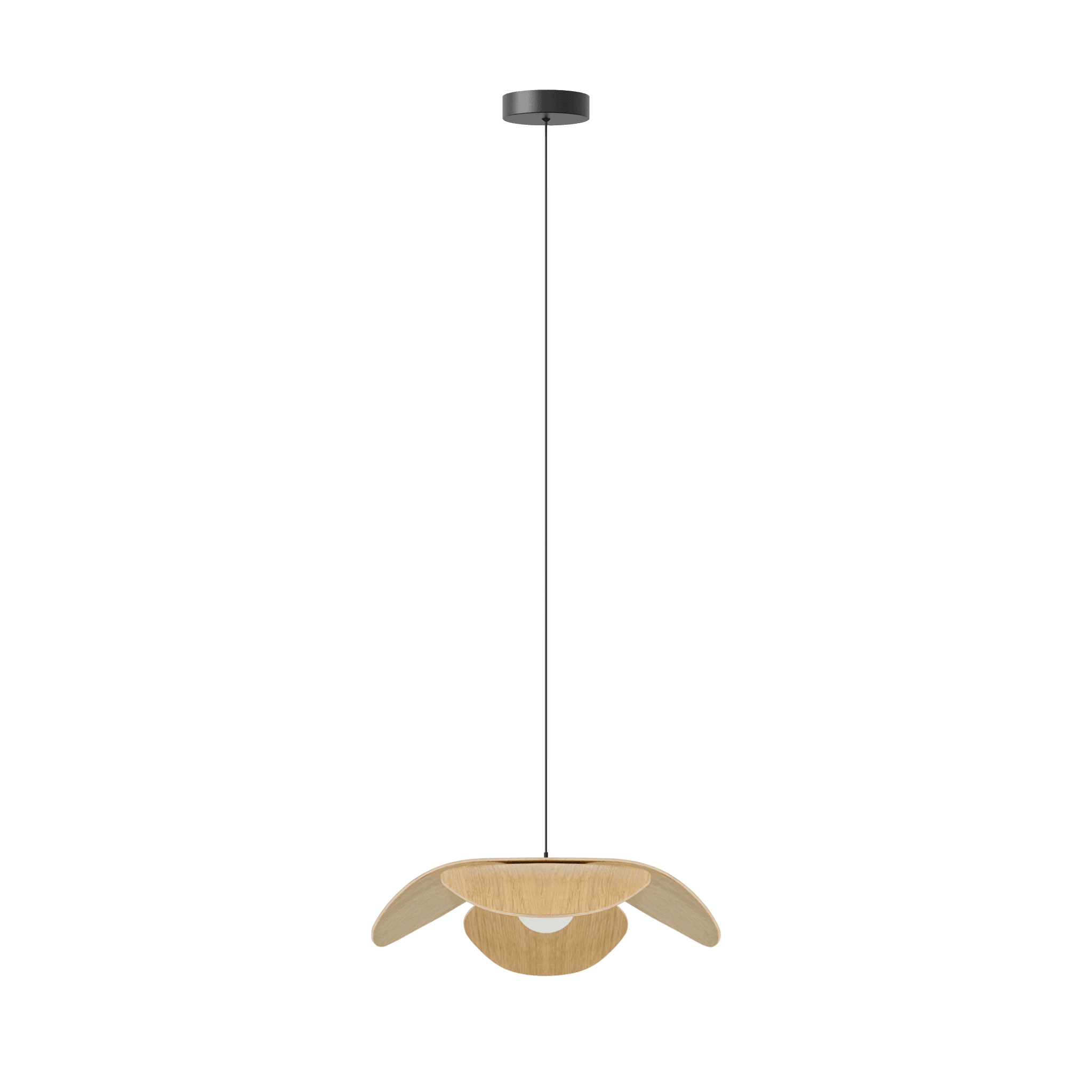 Abażur FORGET ME NOT dąb UMAGE Eye on Design