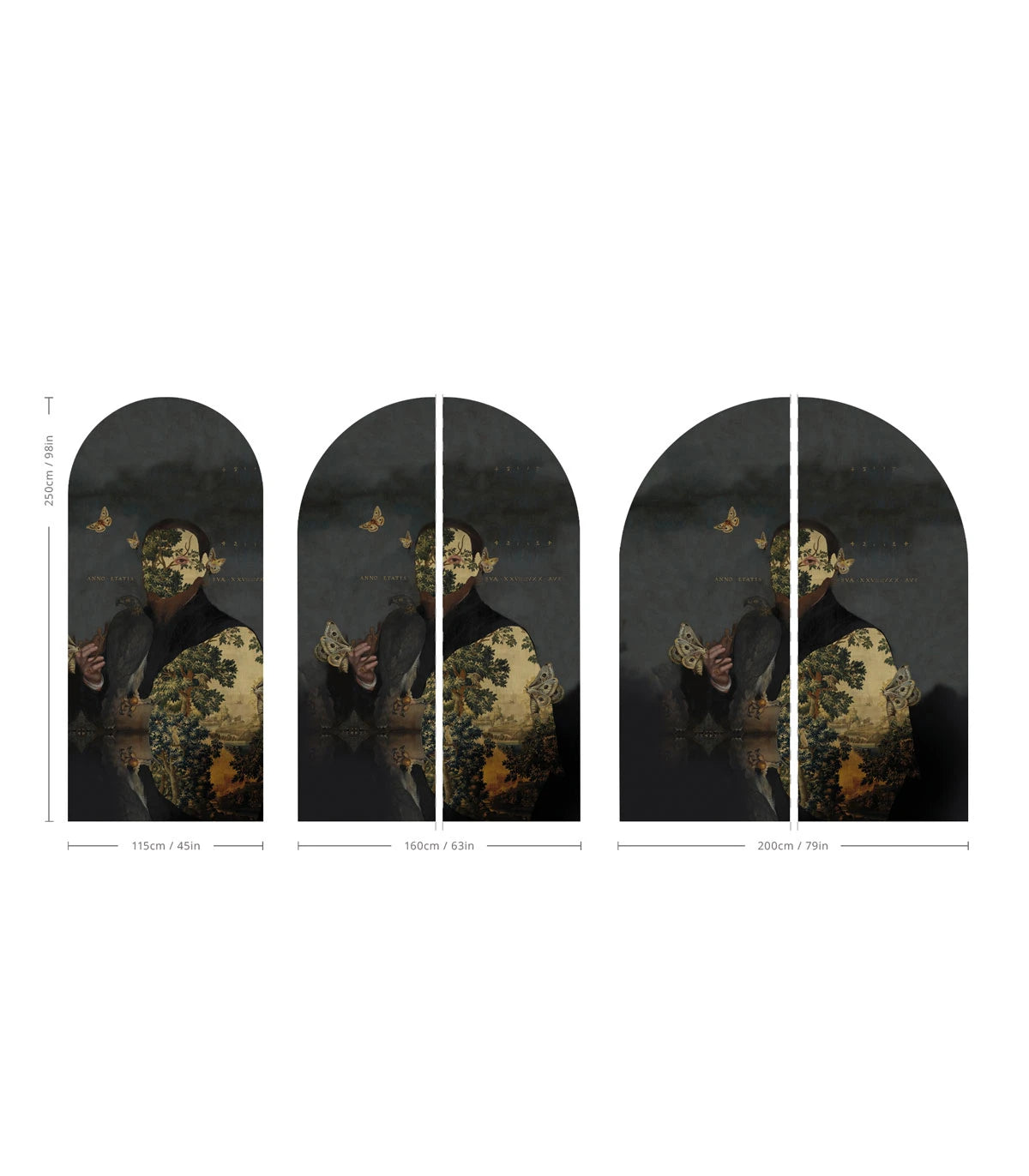 Non-woven mural in the shape of an arch GENTLEMAN MOTH dark gray