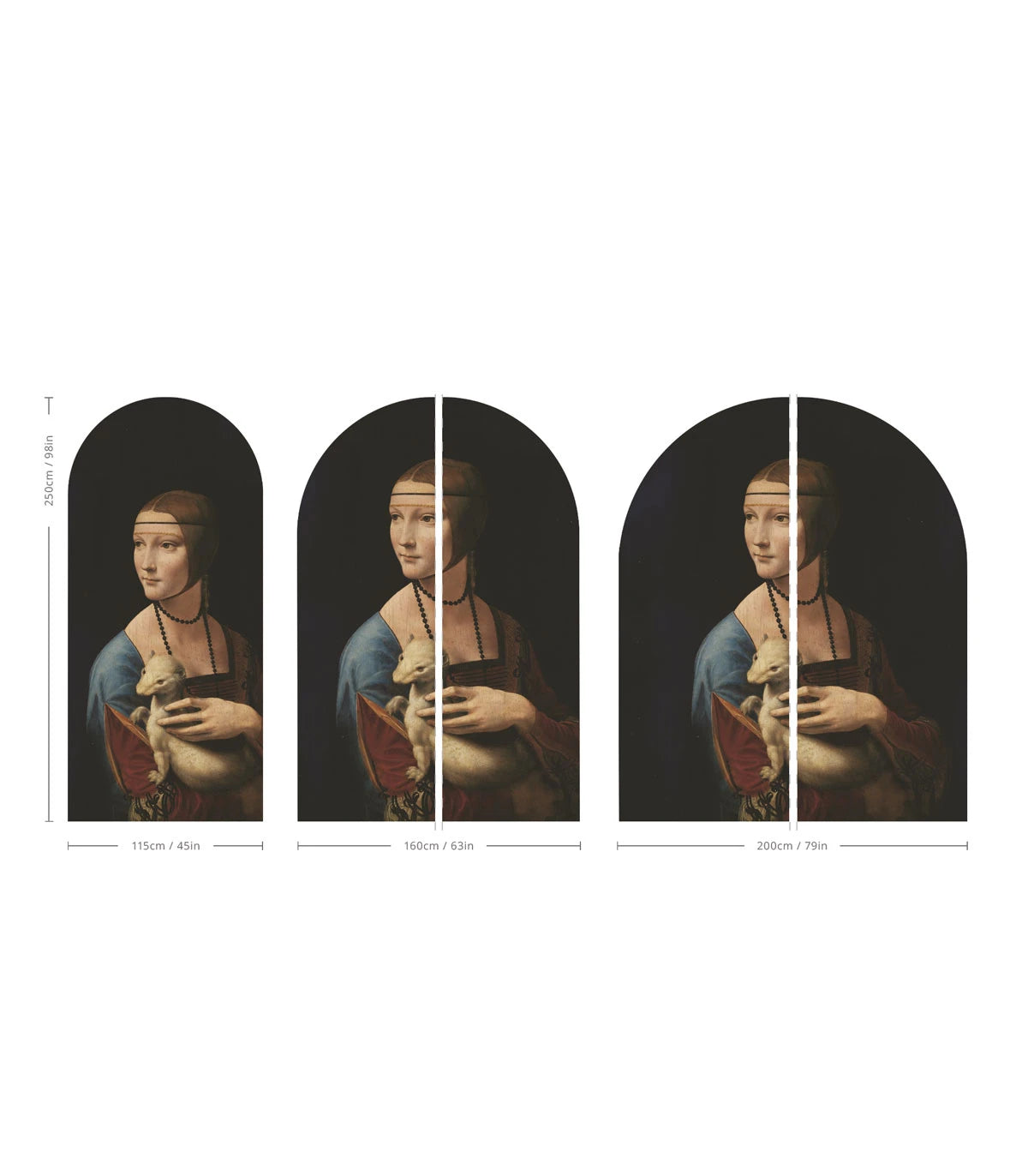 Múrová flizelínová tapeta v tvare oblúka DÁMA S HERMELÍNOM čierna